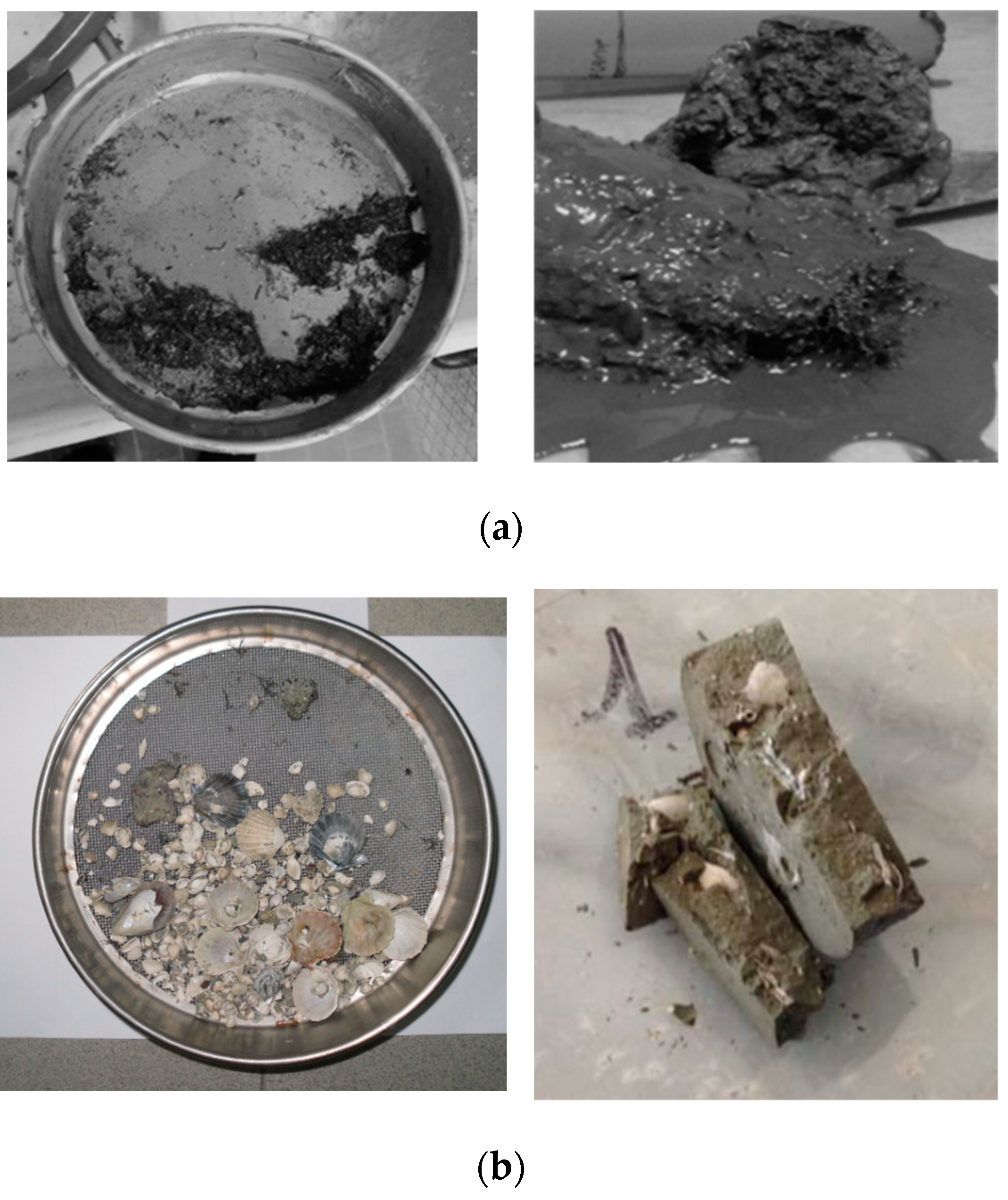 Materials 17 03597 g003a