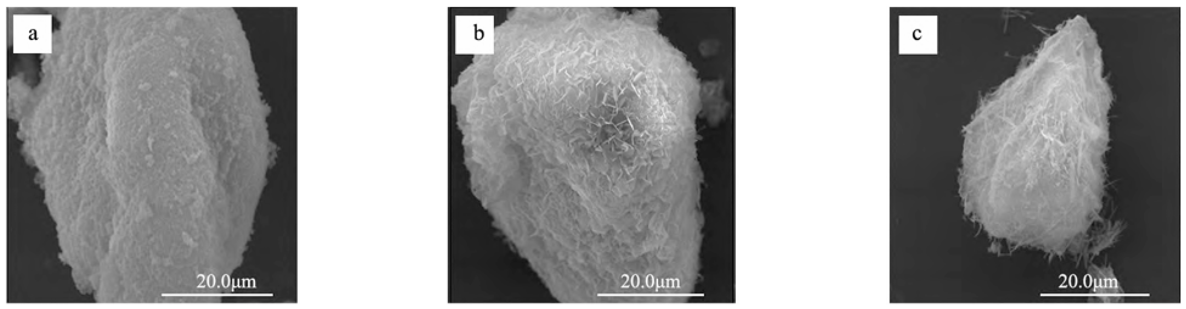 Acicular Rods A Review of Gene–Property Mapping of Cementitious Materials from the ...