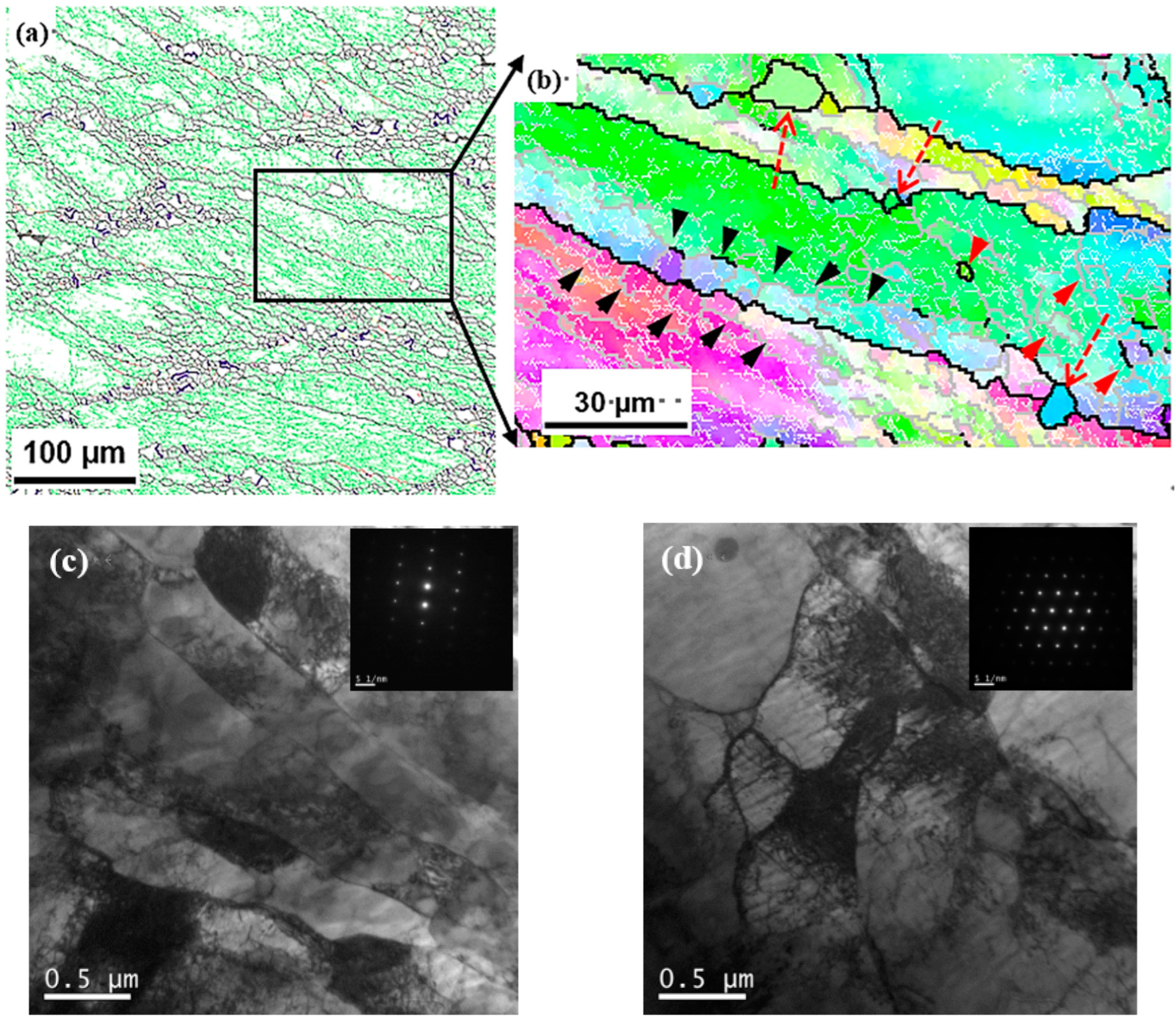 Materials 17 03641 g004