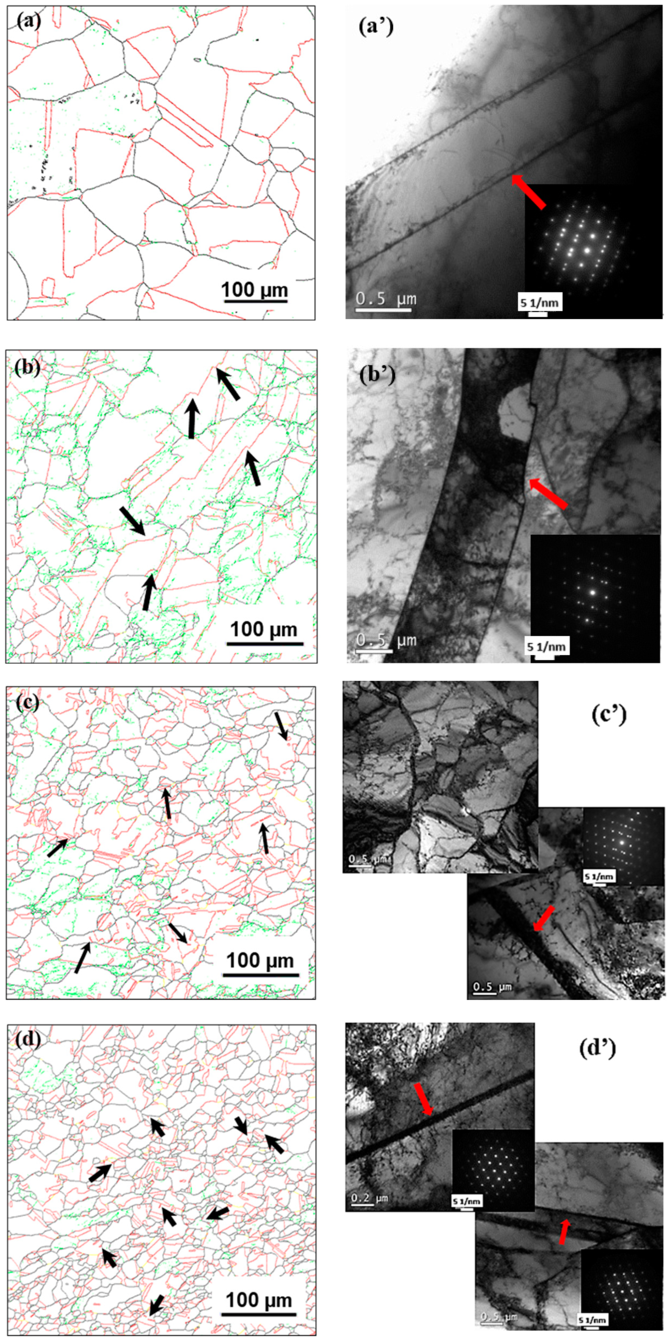 Materials 17 03641 g007