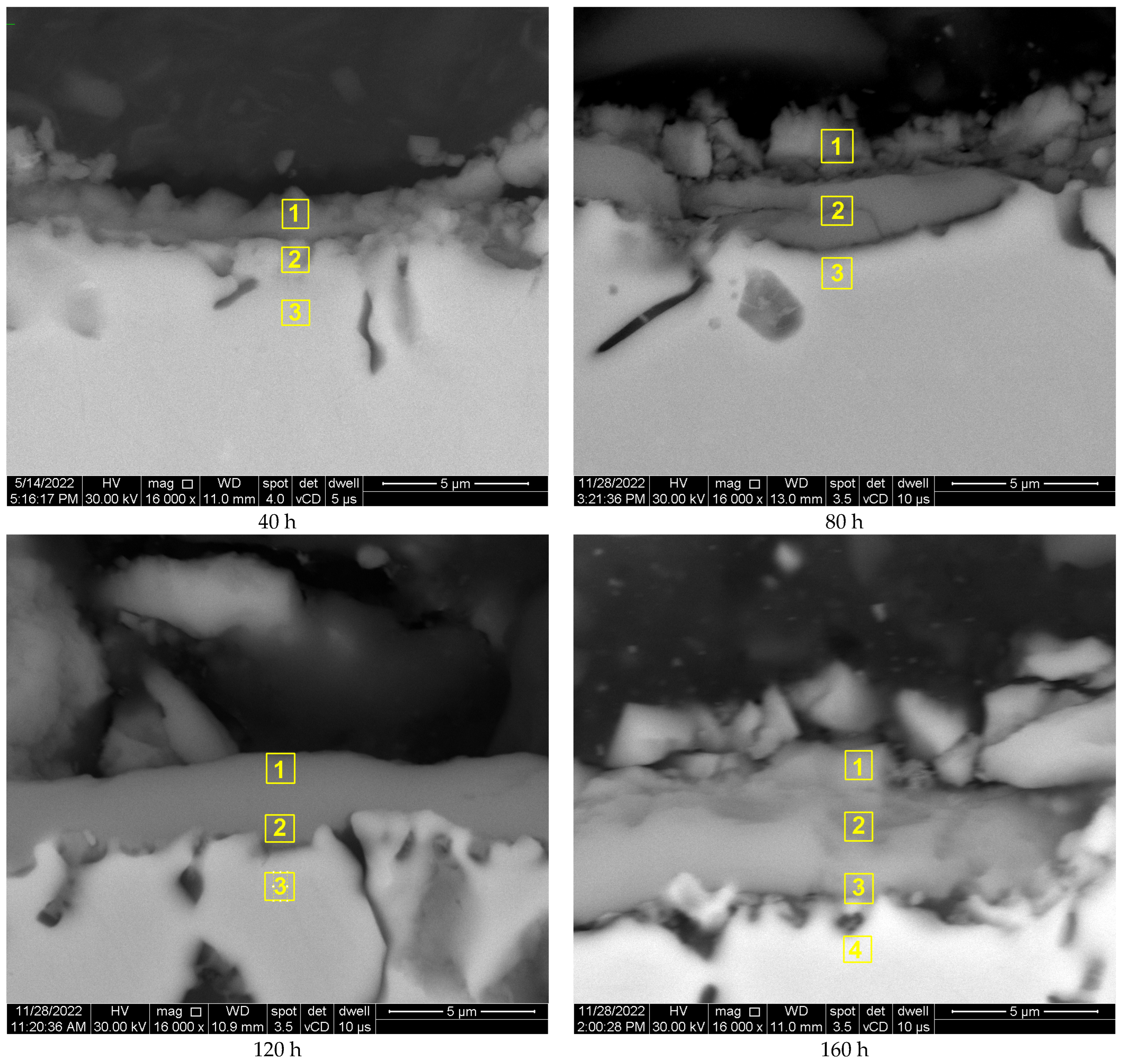 Materials 17 03660 g005a