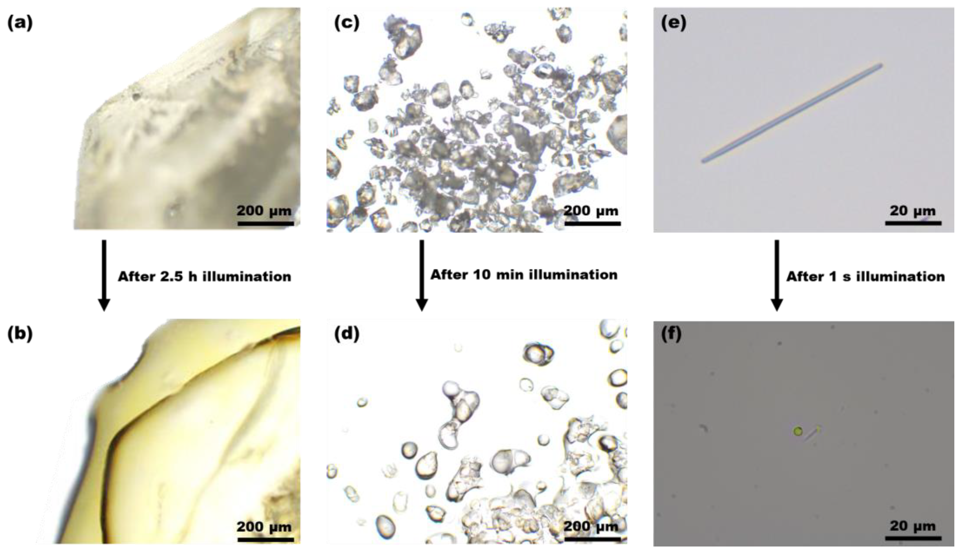 Materials 17 03664 g004