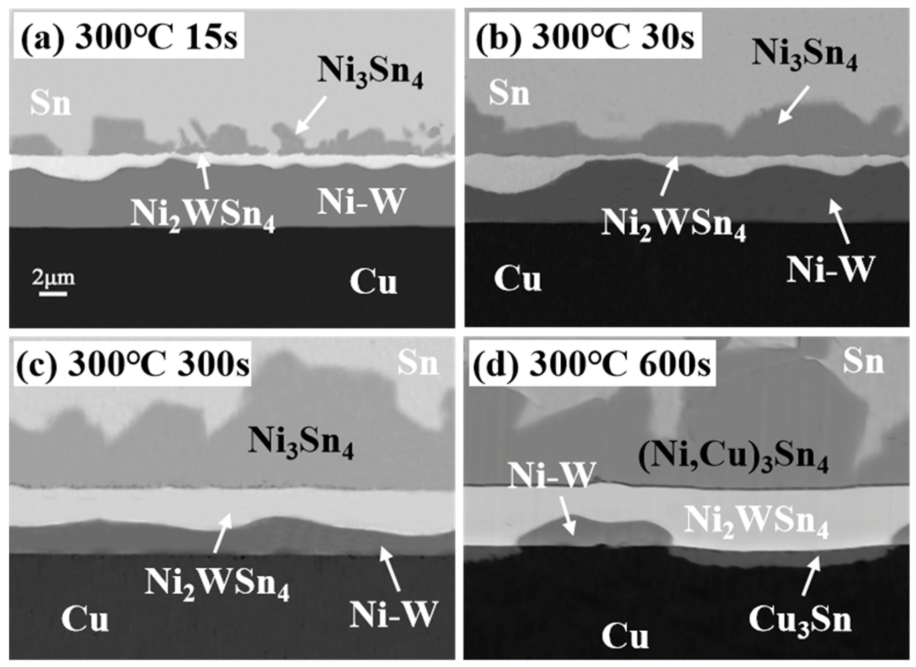 Materials 17 03682 g008