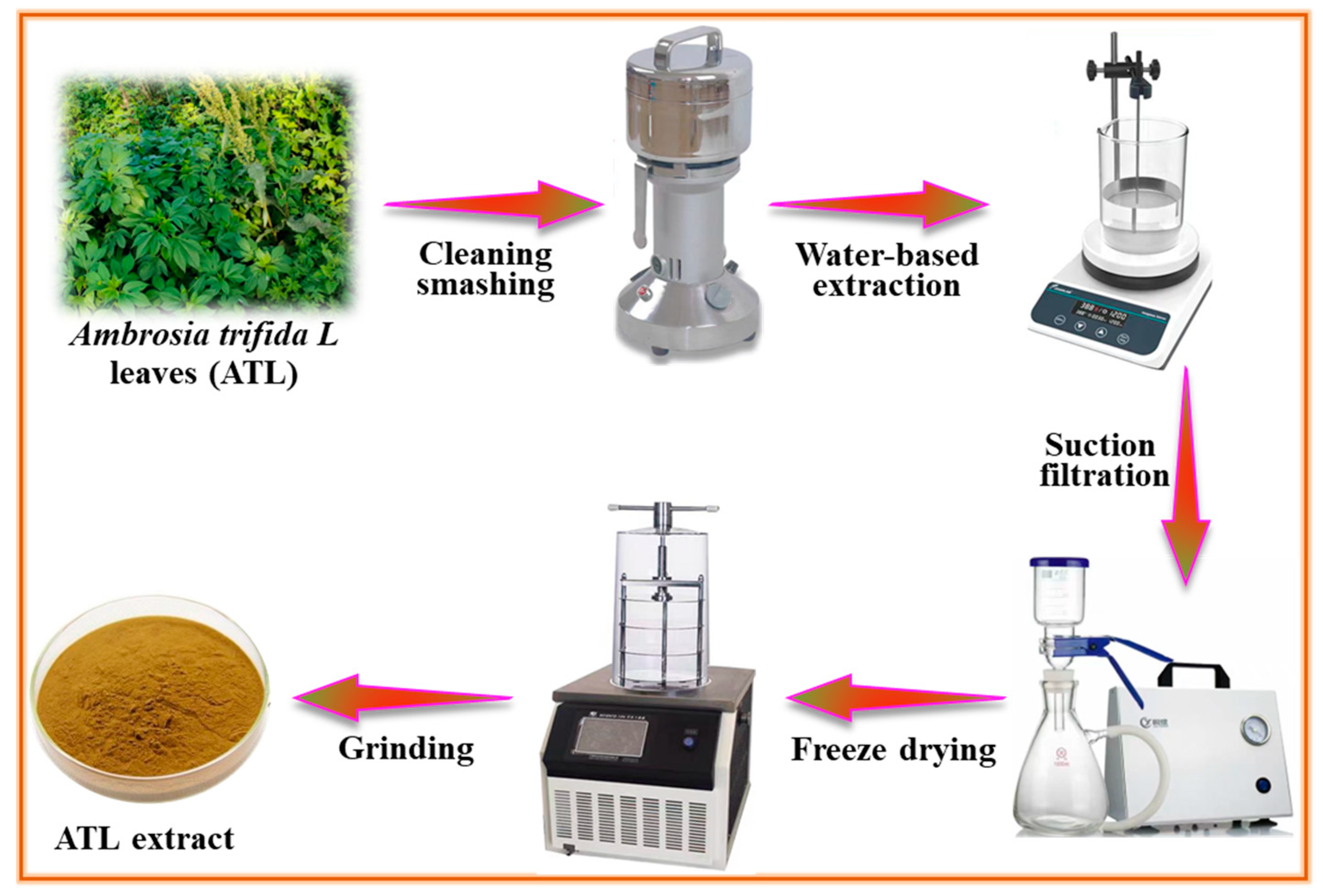 Materials 17 03758 g001