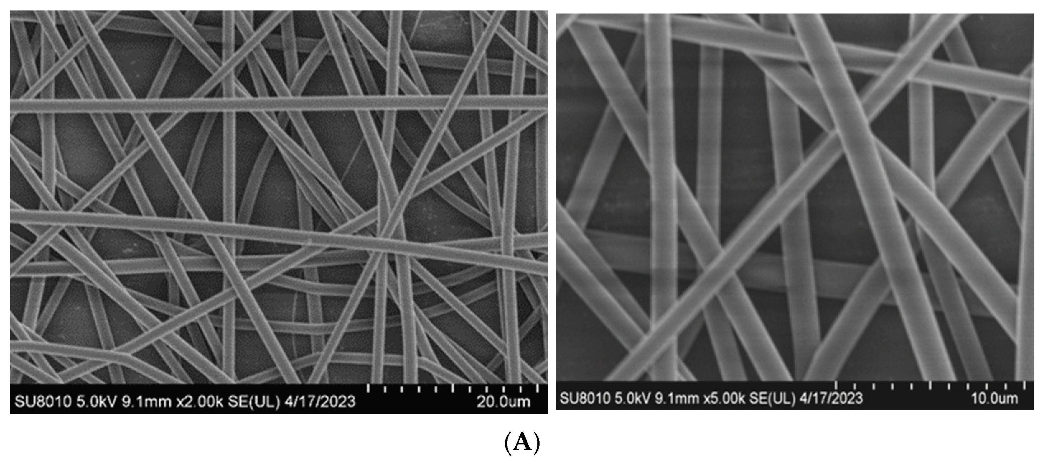 Materials 17 03773 g004a Materials 17 03773 g004a