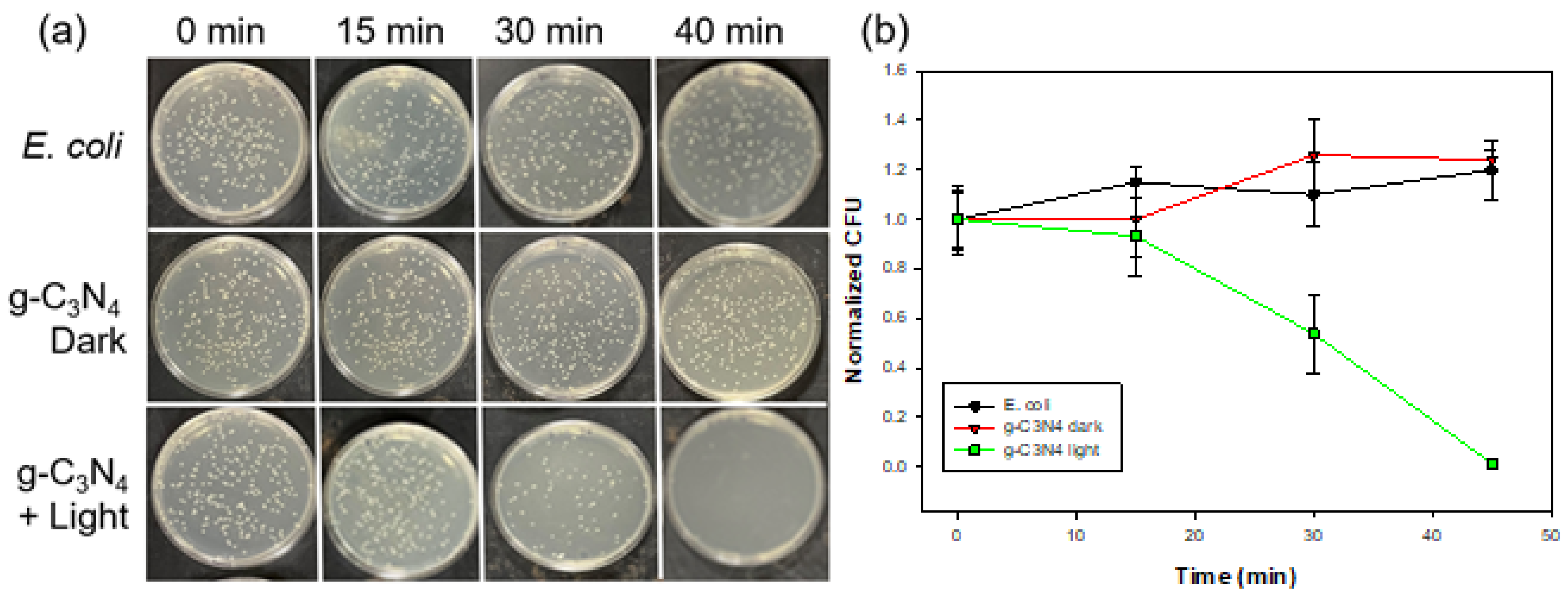 Materials 17 03787 g004