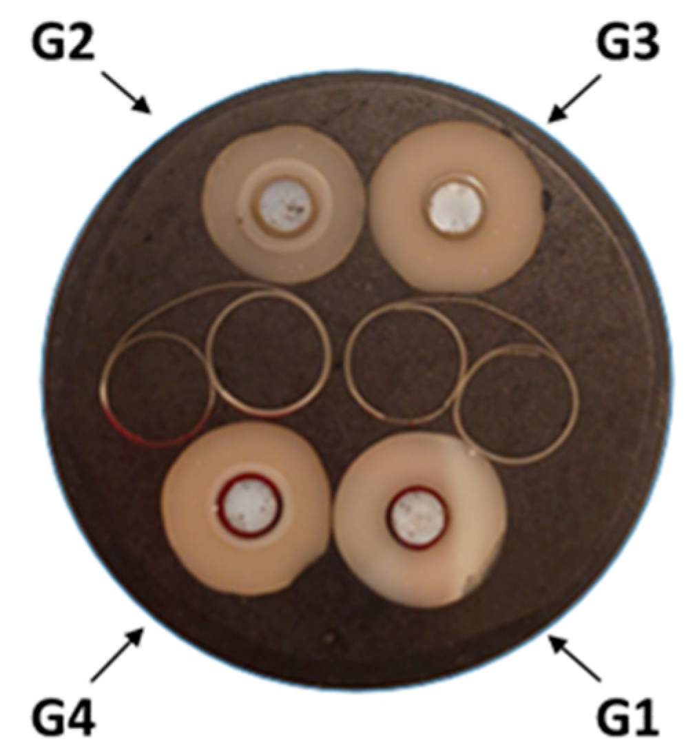 Materials 17 03815 g005