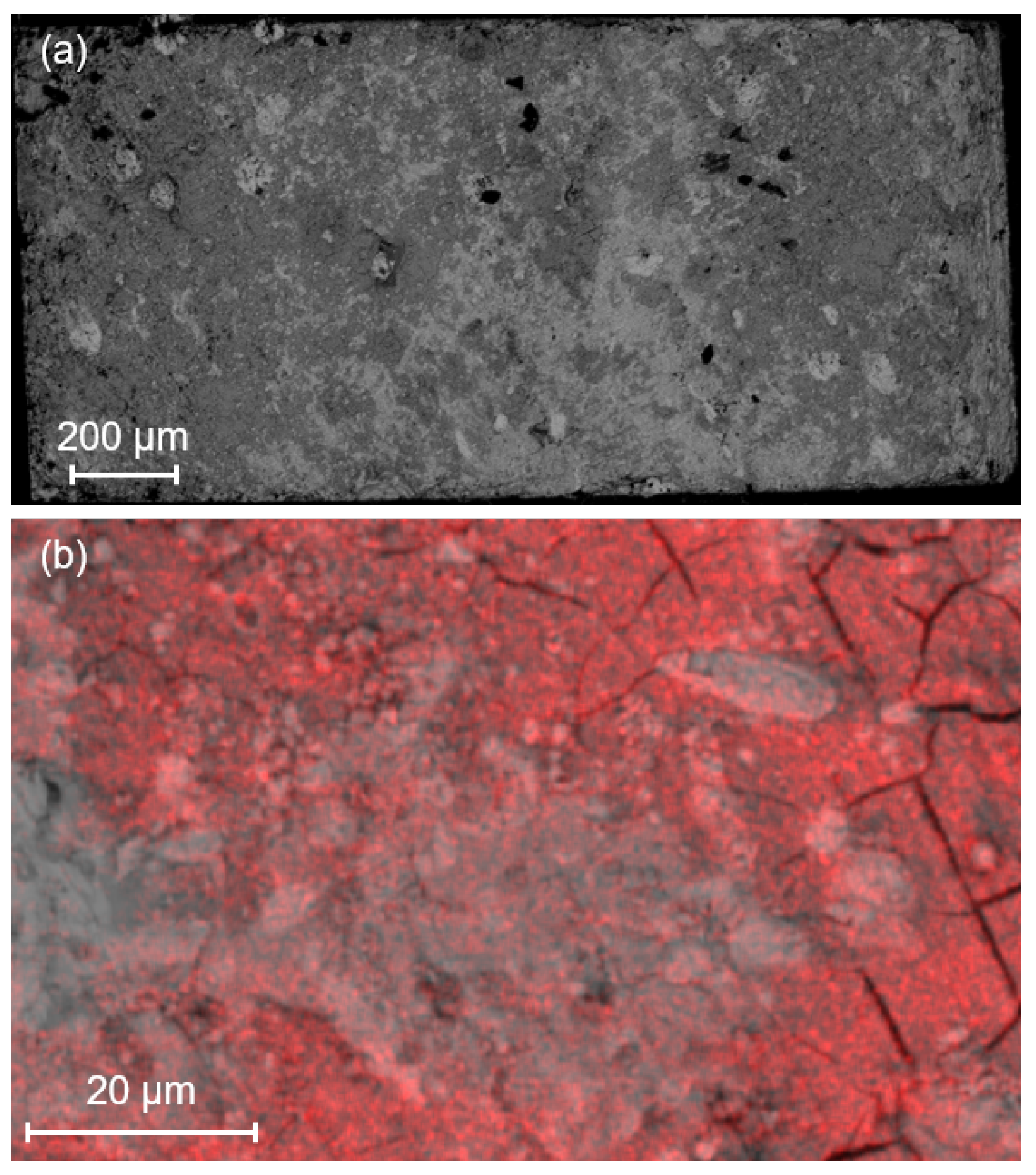 Materials 17 03827 g018