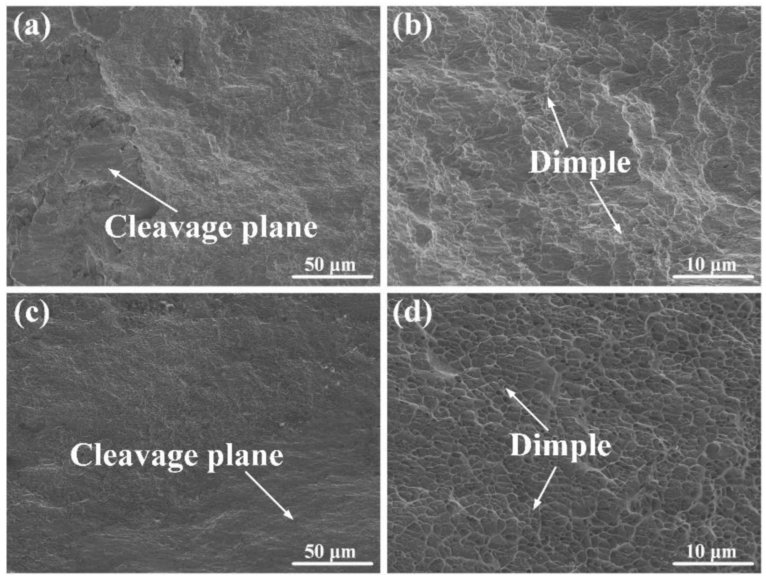 Materials 17 03854 g009