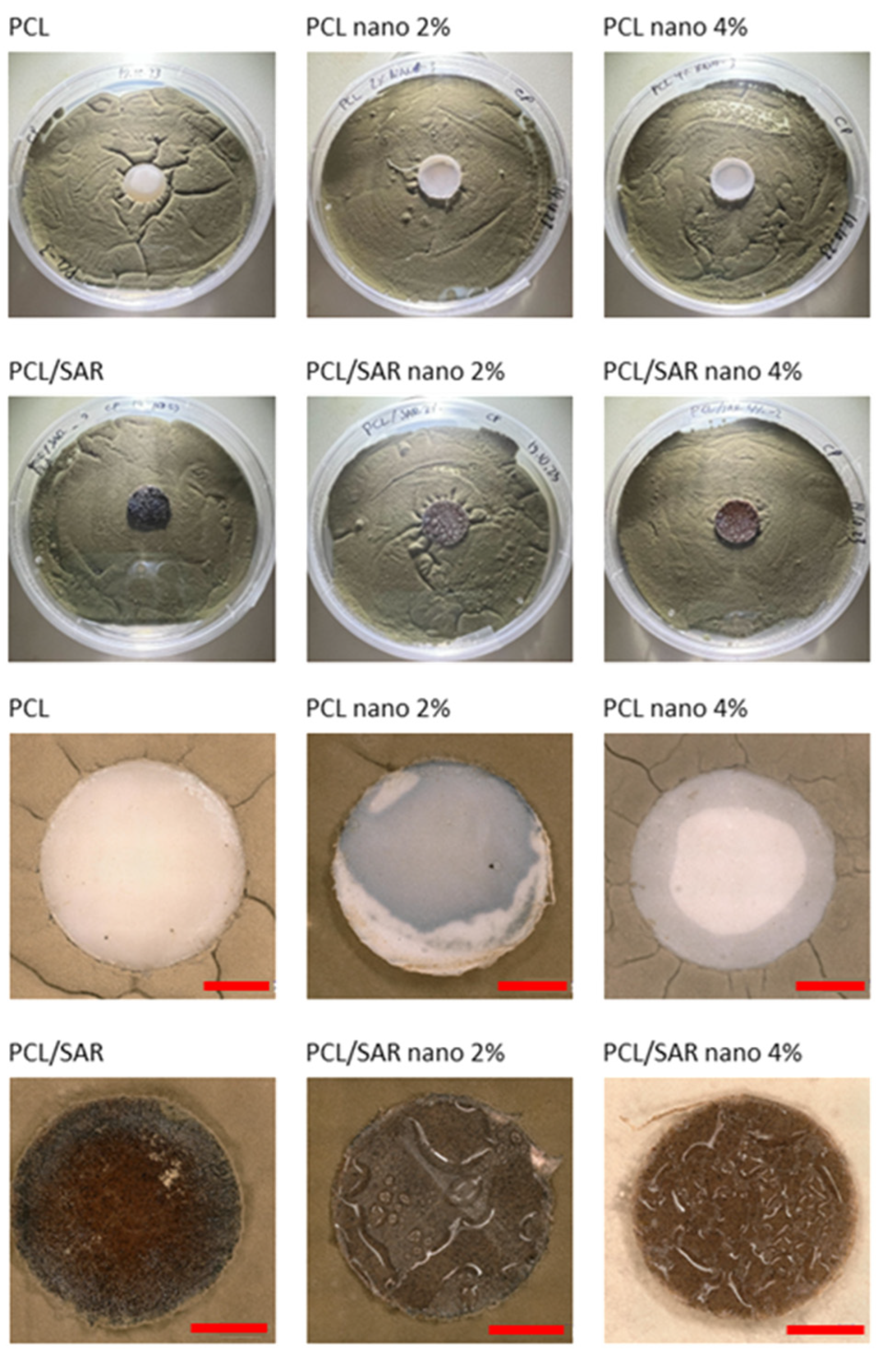 Materials 17 03868 g004