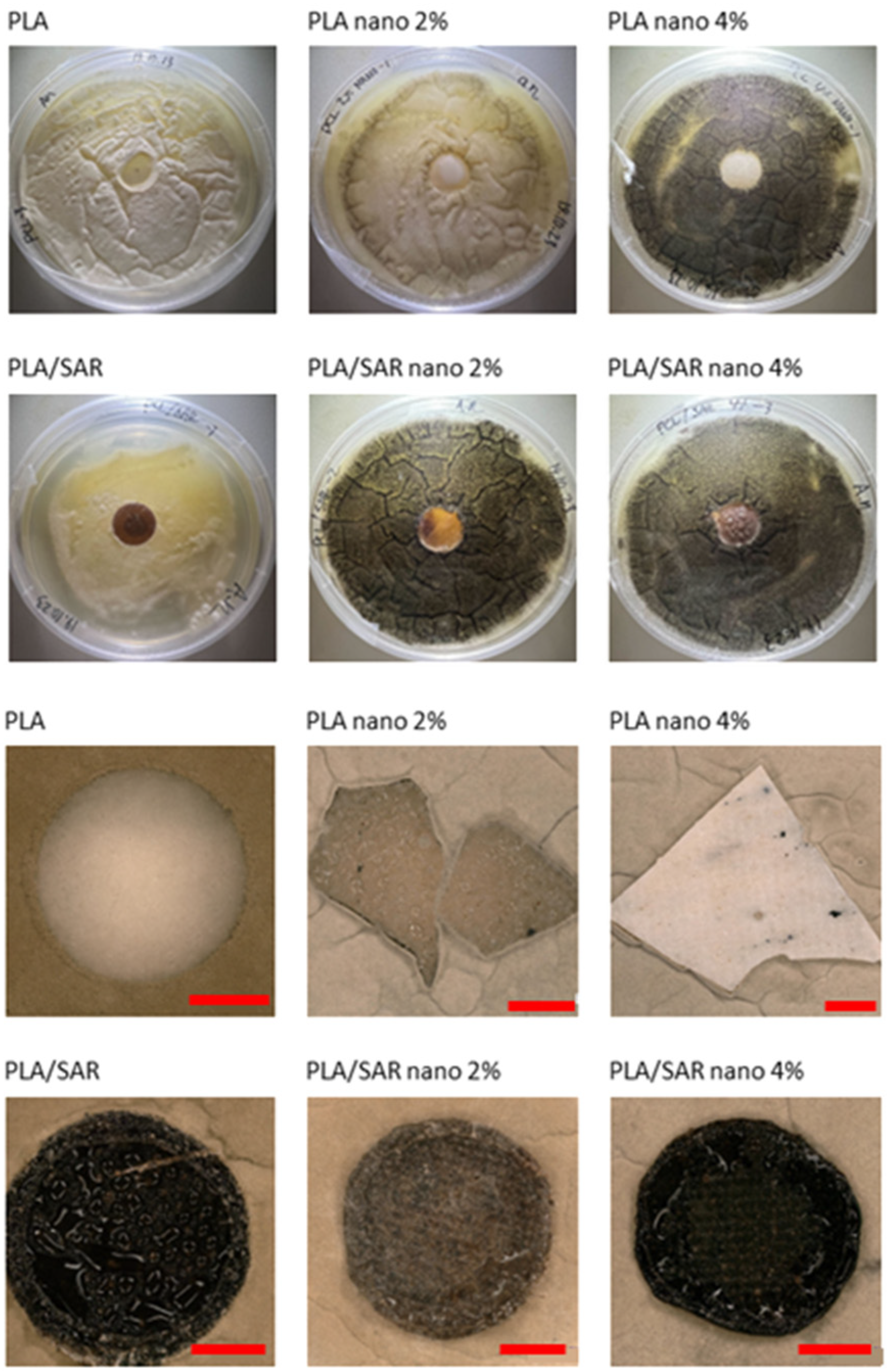 Materials 17 03868 g006