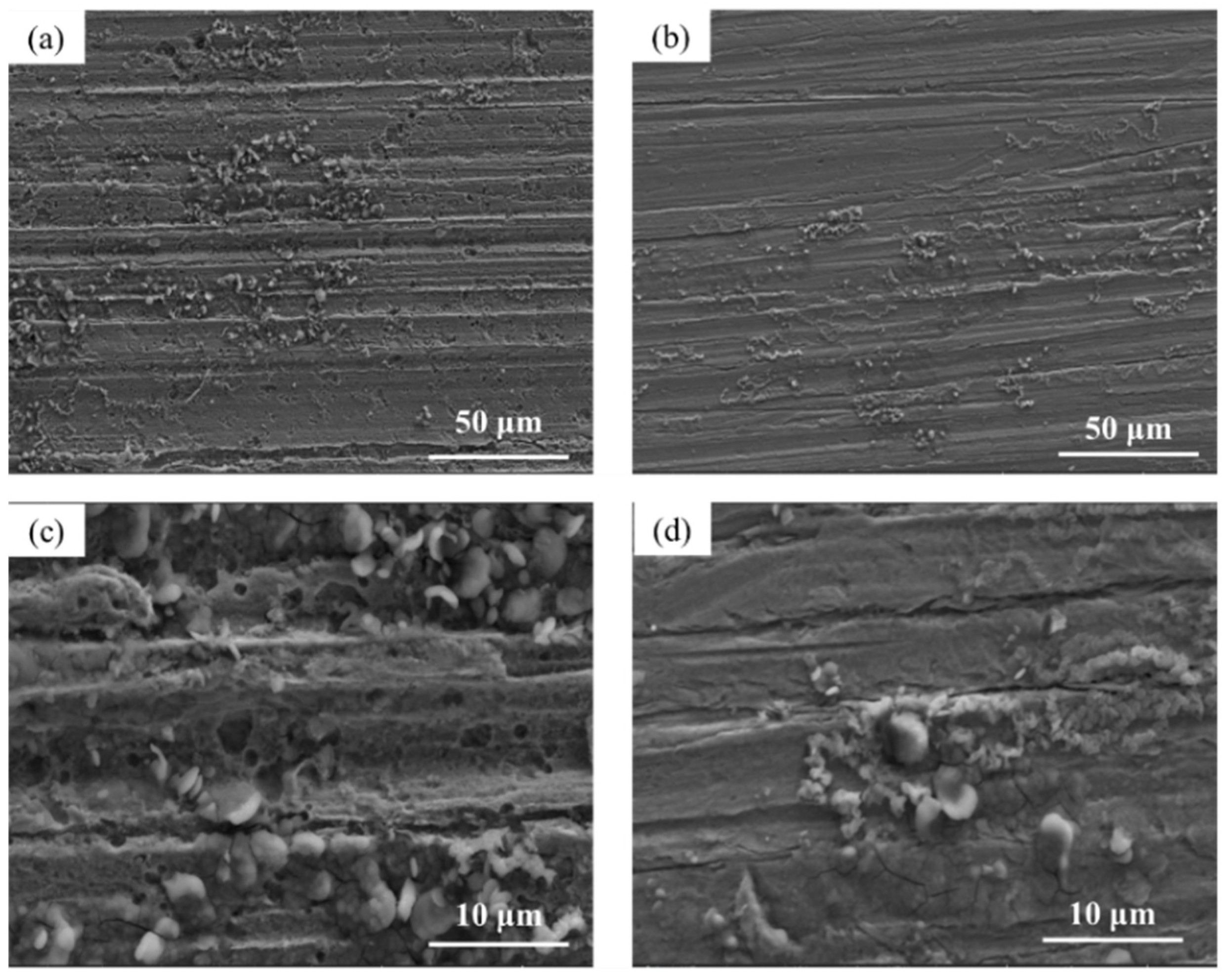 Materials 17 03870 g010