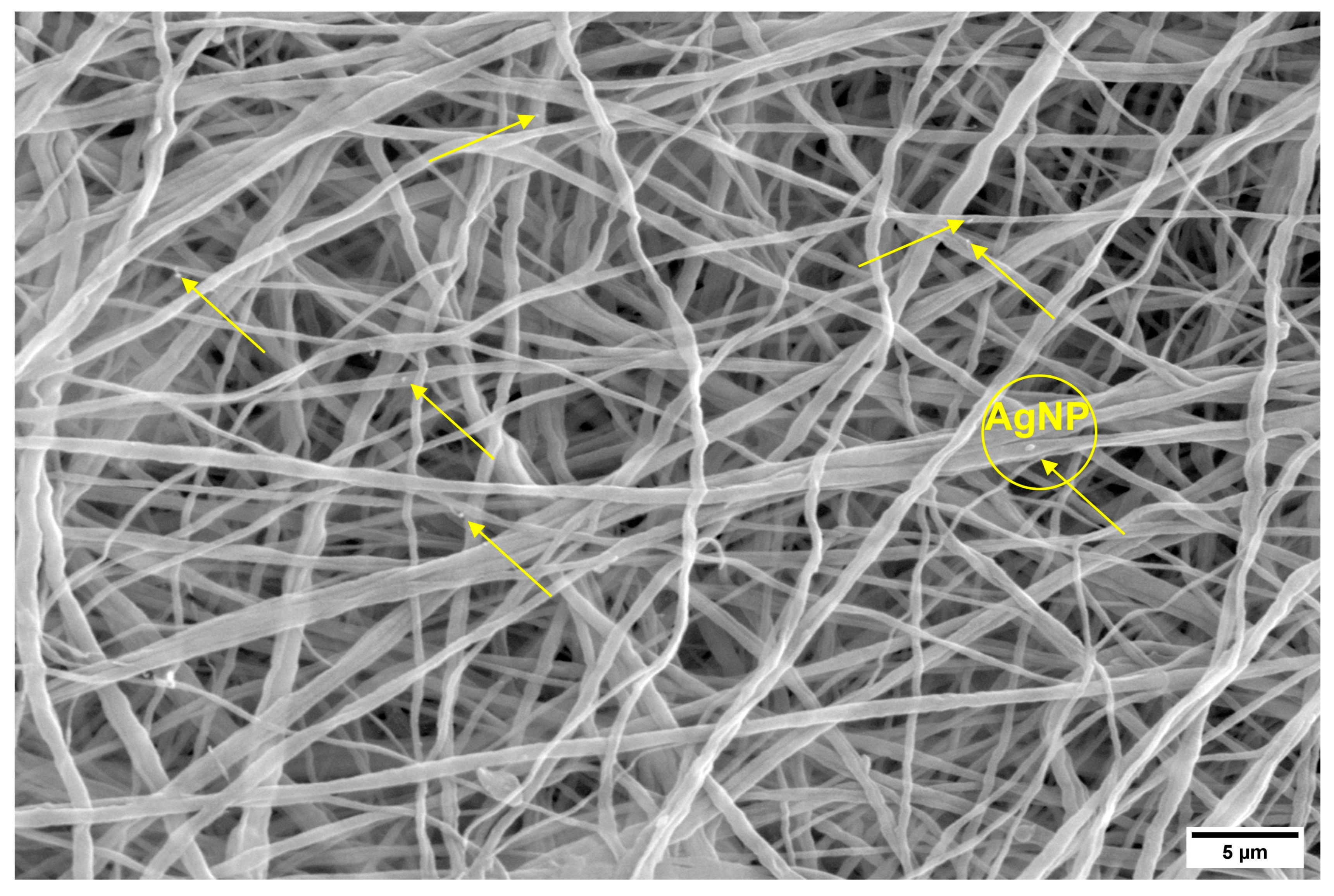 Materials 17 03872 g003