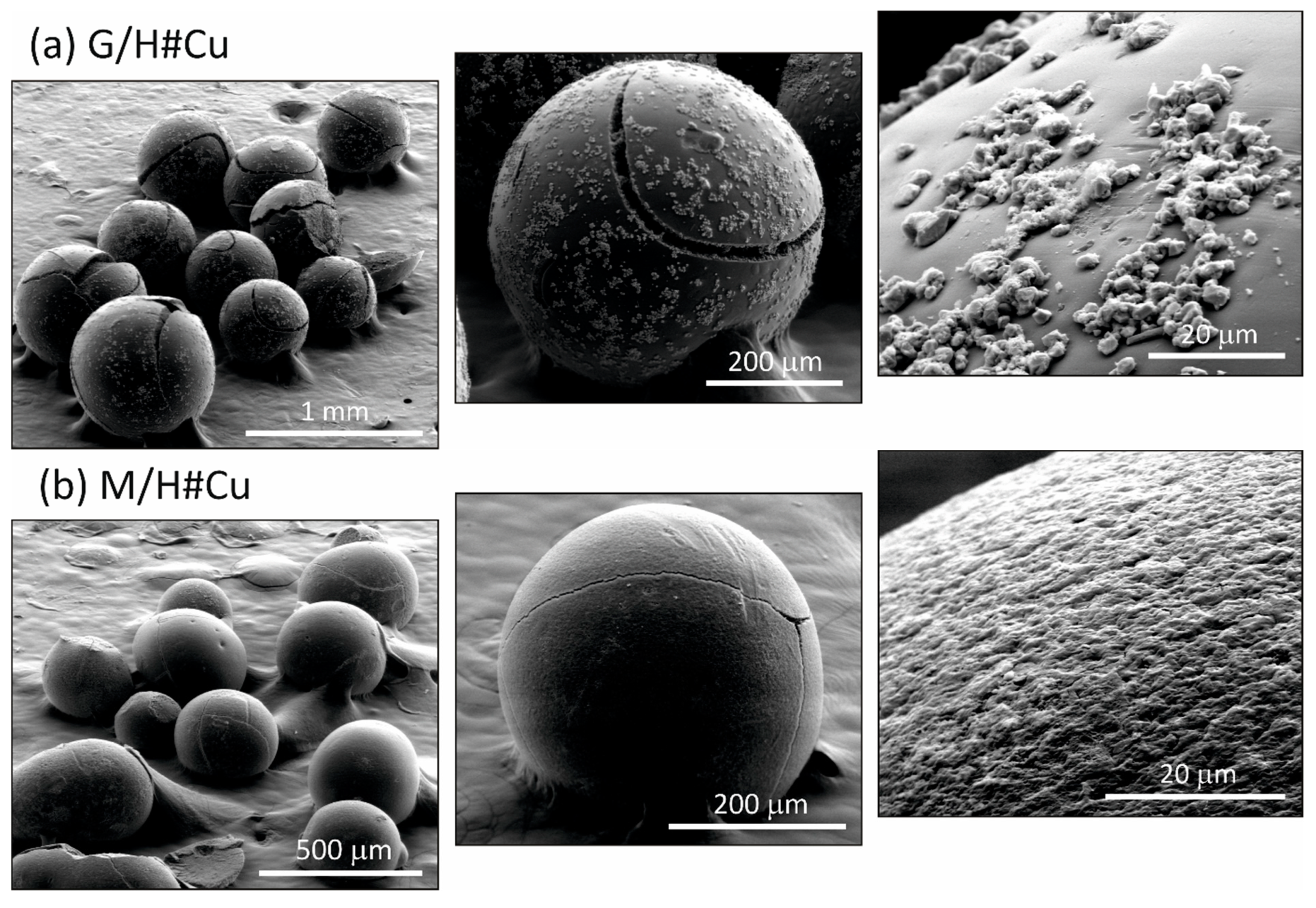 Materials 17 03893 g003