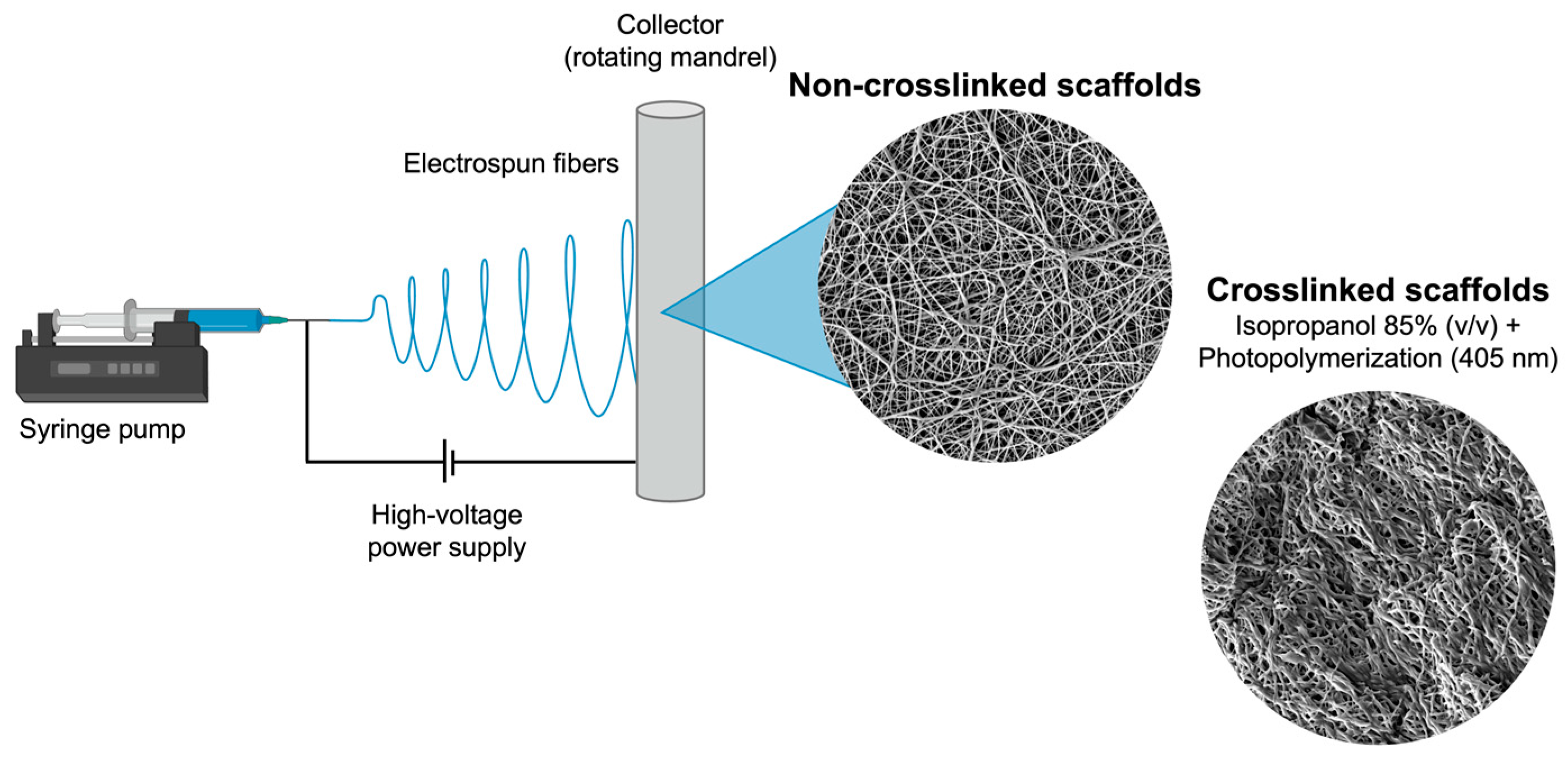 Materials 17 03904 g001