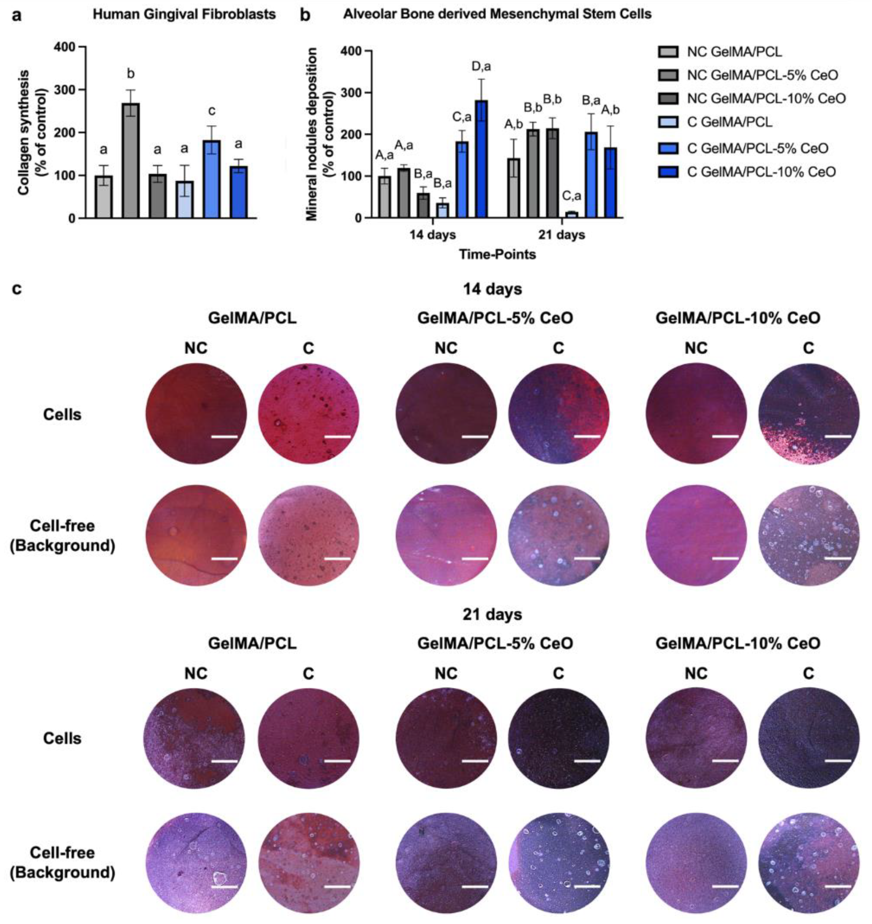 Materials 17 03904 g007