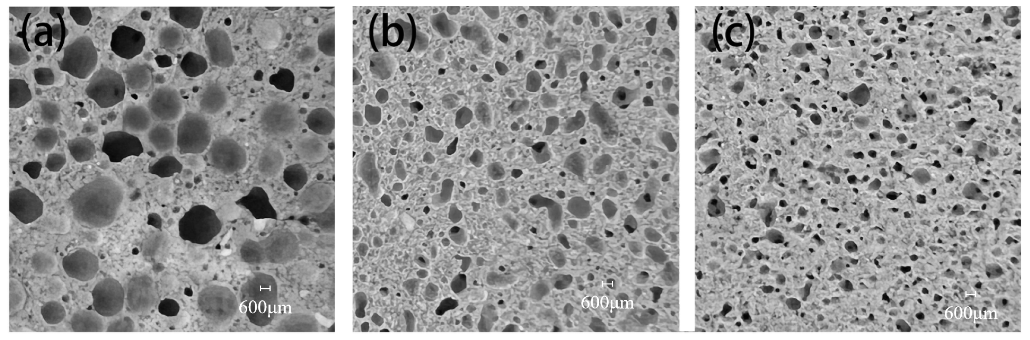 Materials 17 03921 g006