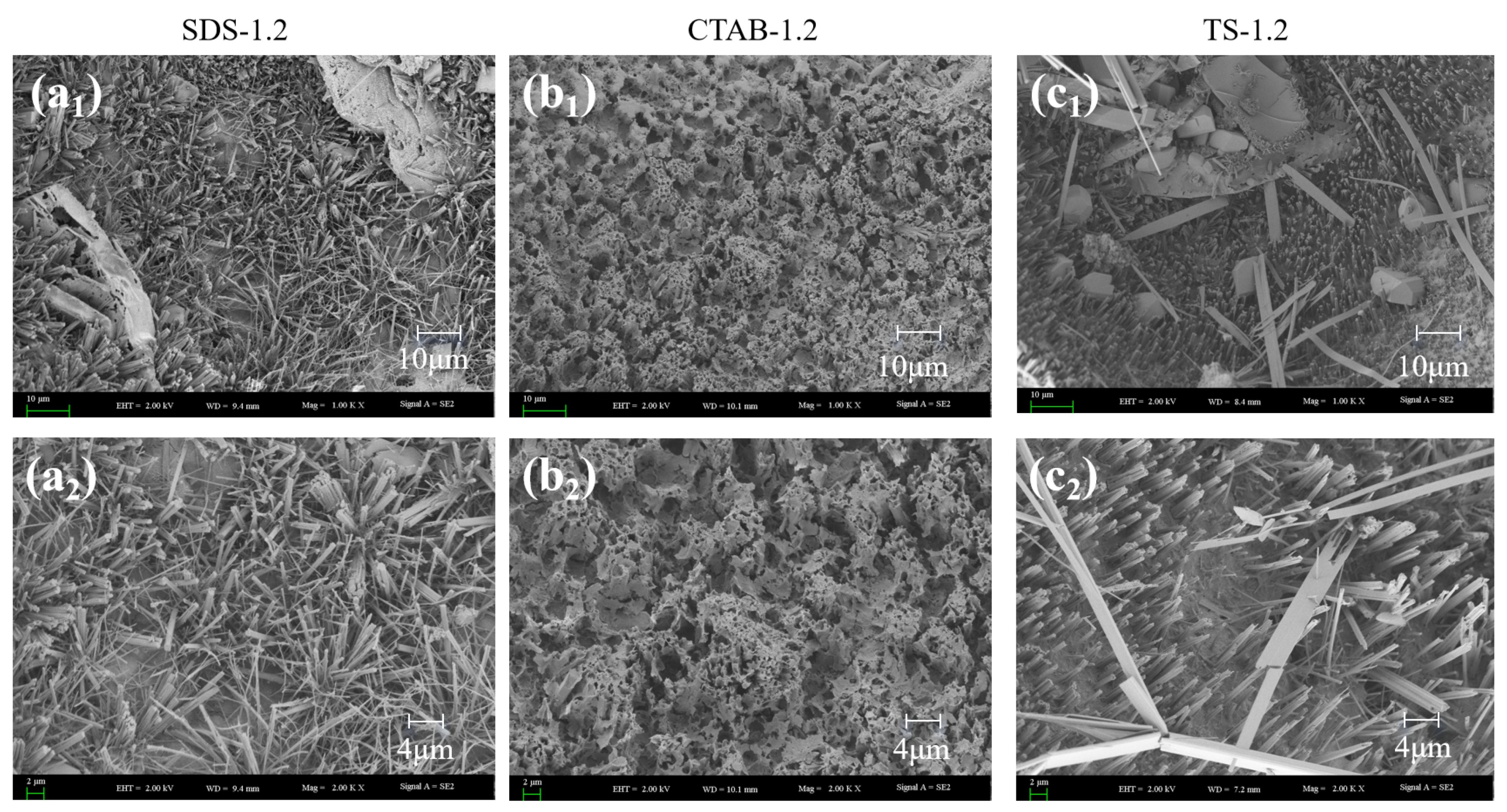 Materials 17 03921 g010