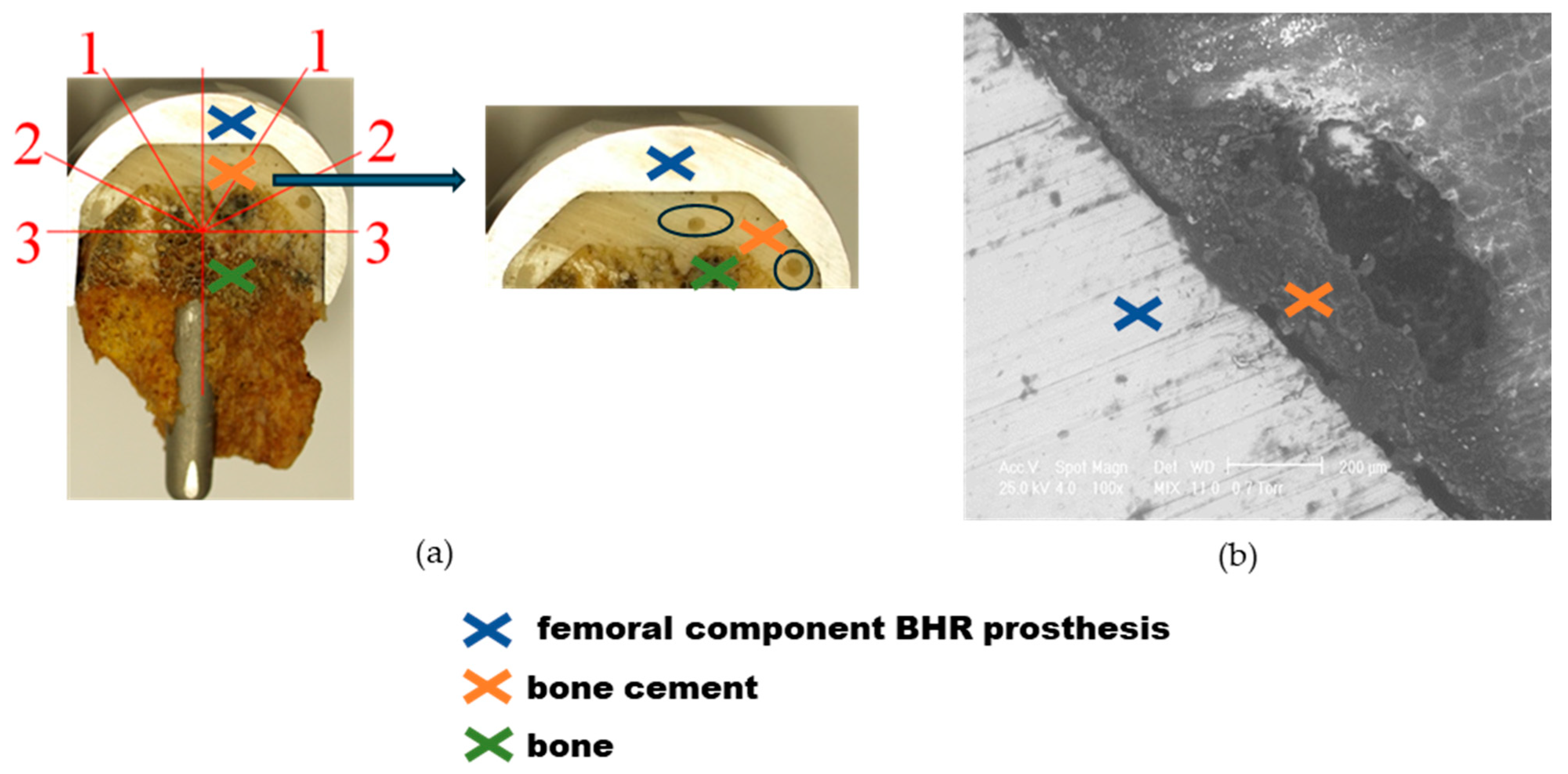 Materials 17 03965 g010