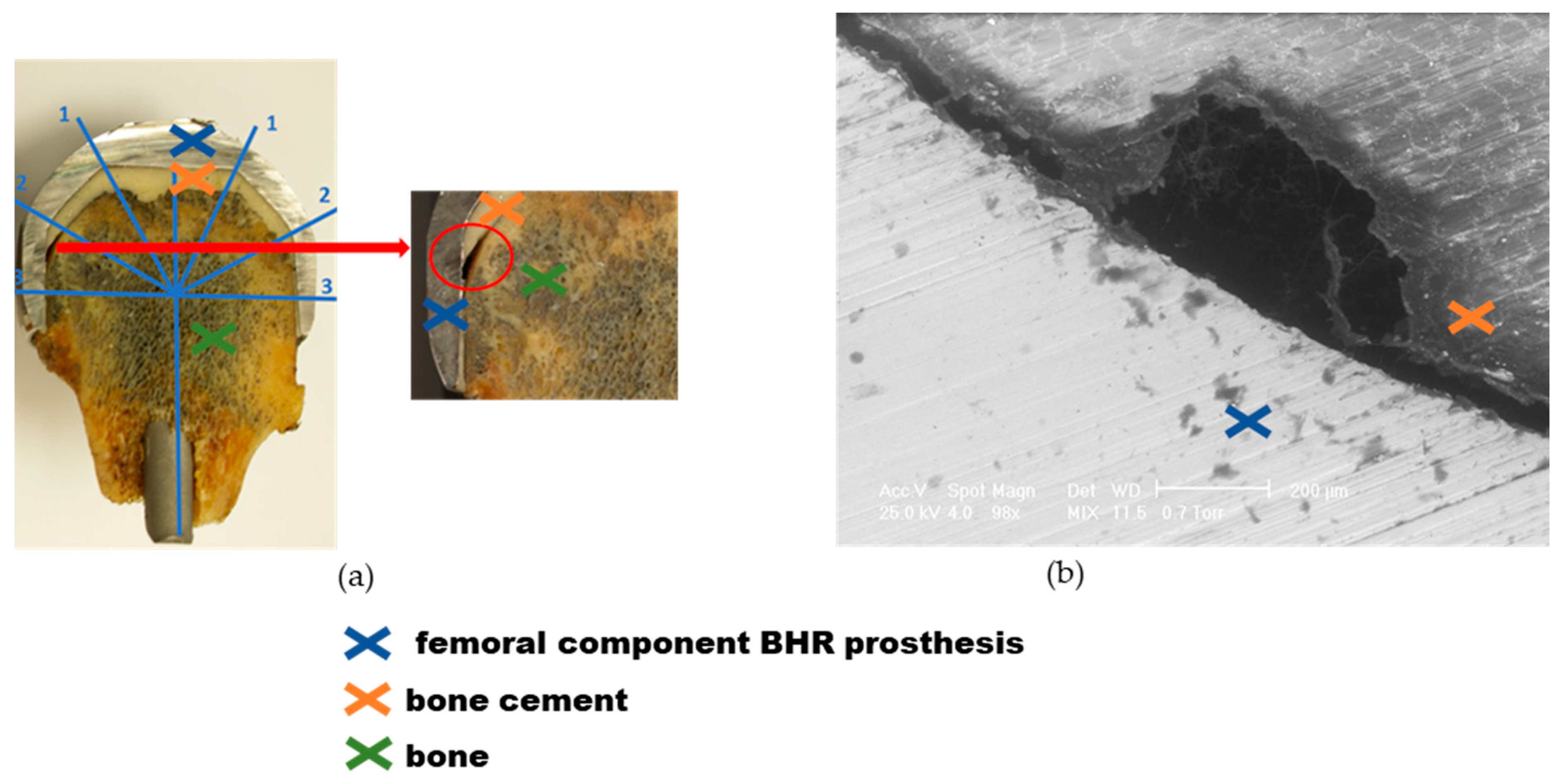 Materials 17 03965 g011