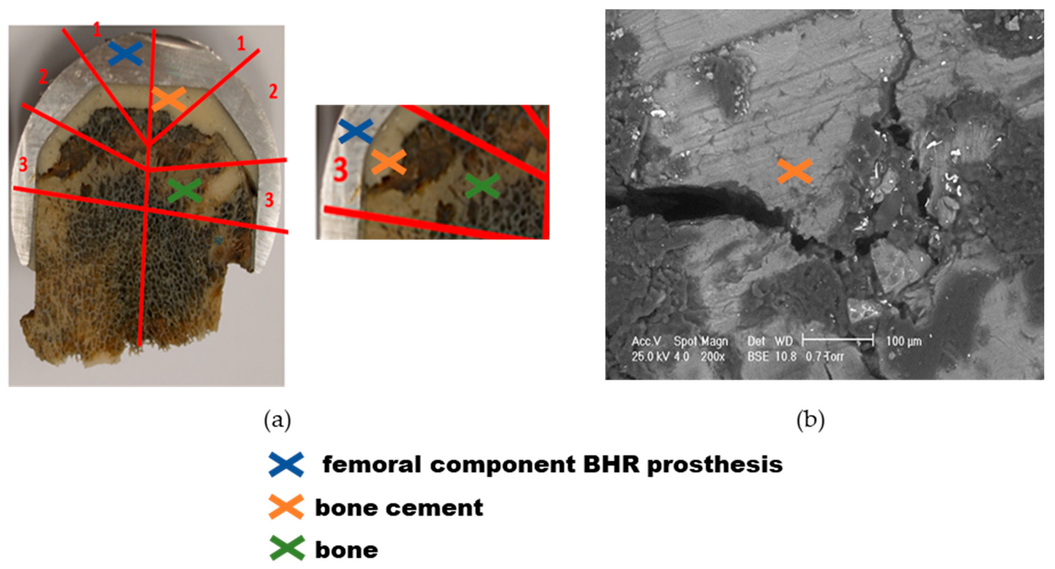 Materials 17 03965 g012