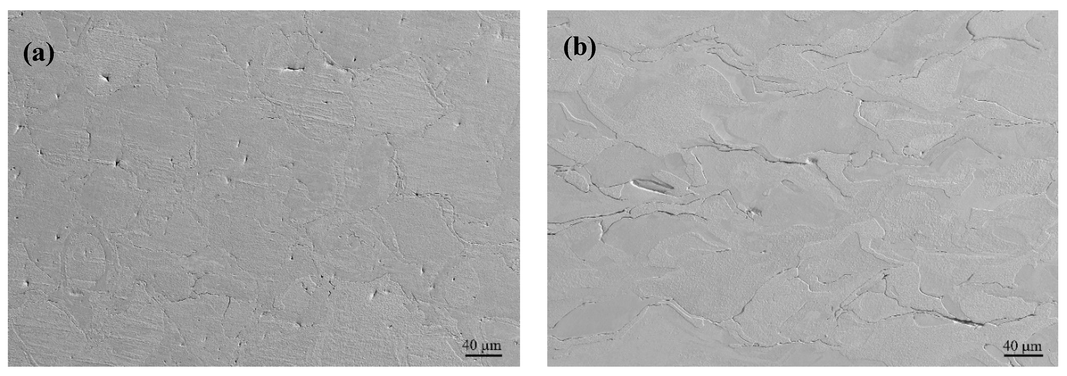 Materials 17 03966 g009 Materials 17 03966 g009