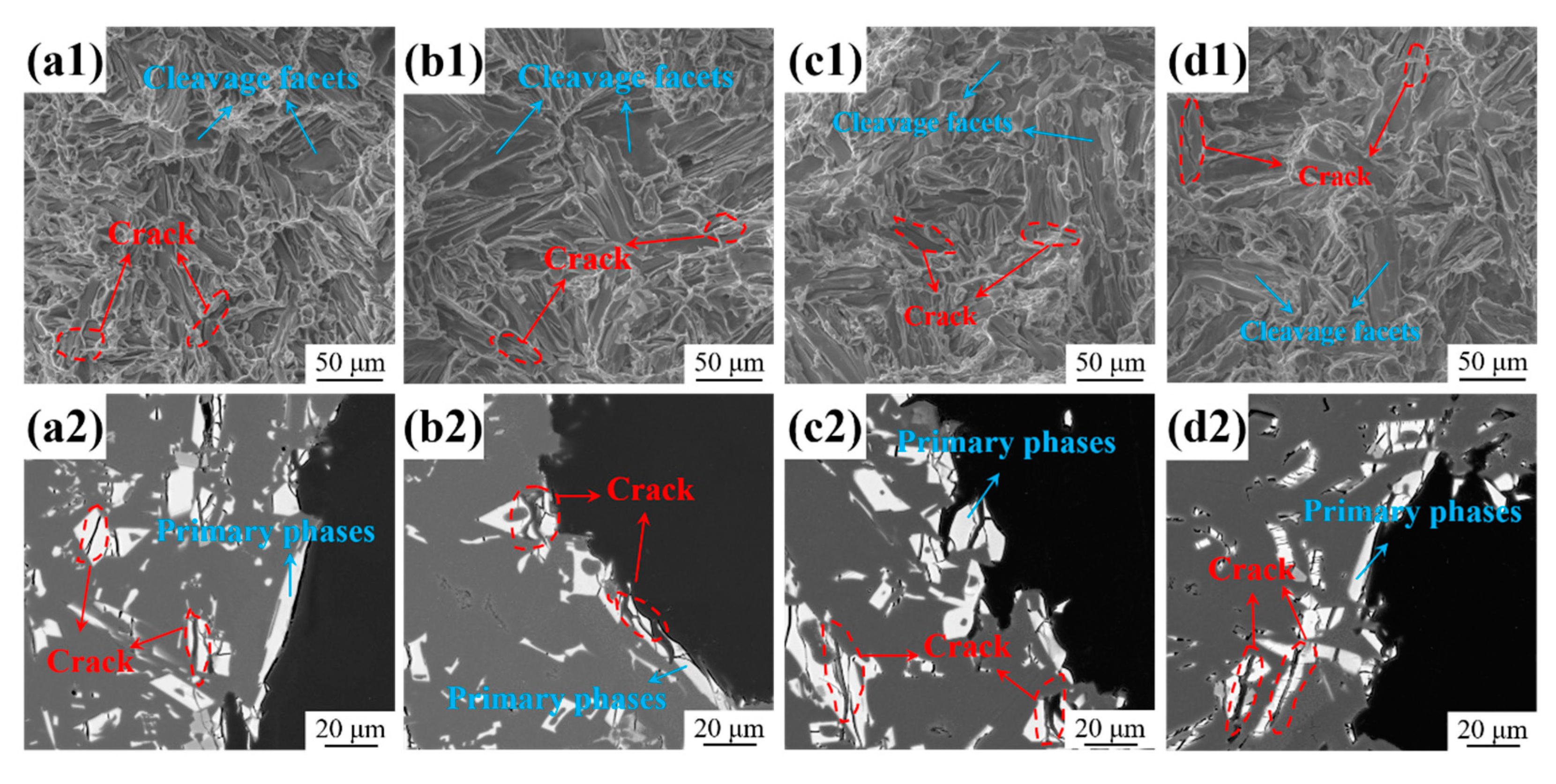 Materials 17 03999 g010