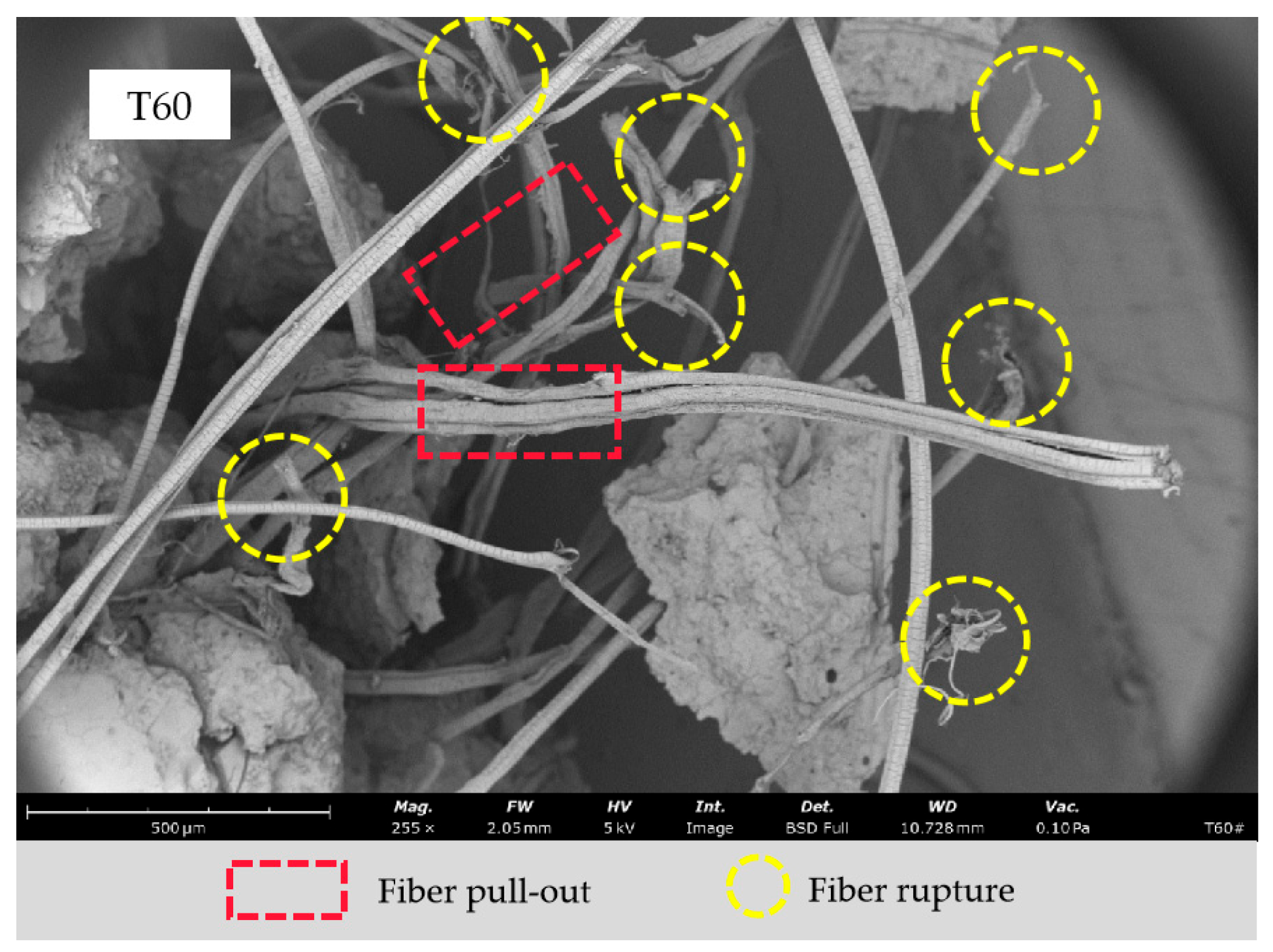 Materials 17 04011 g022b