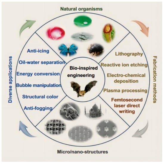 Materials 17 04014 g001