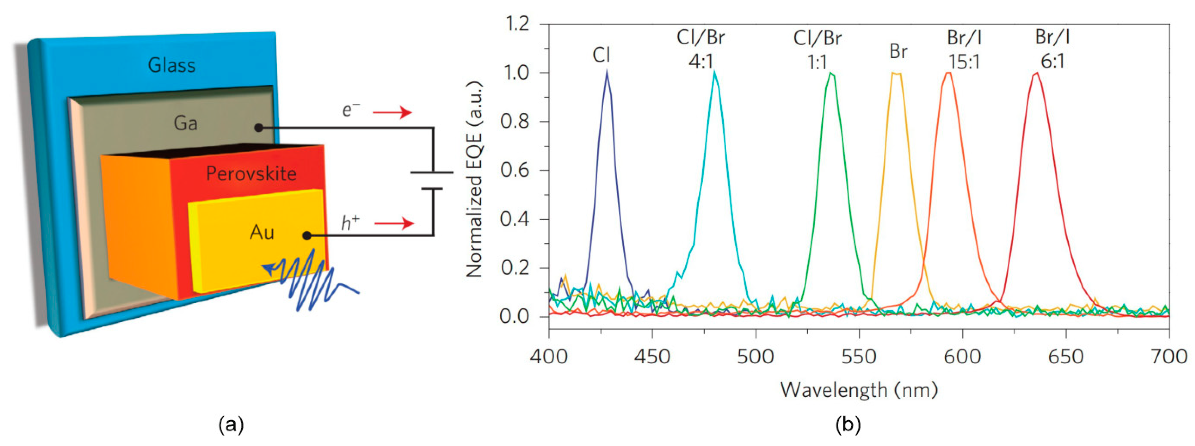 Materials 17 04029 g010