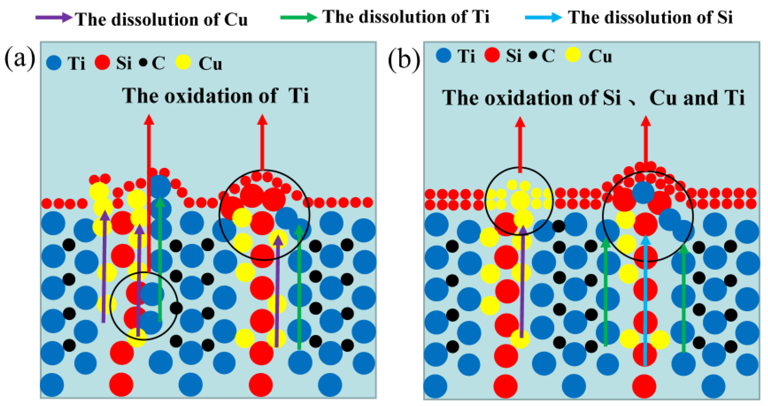 Materials 17 04035 g008