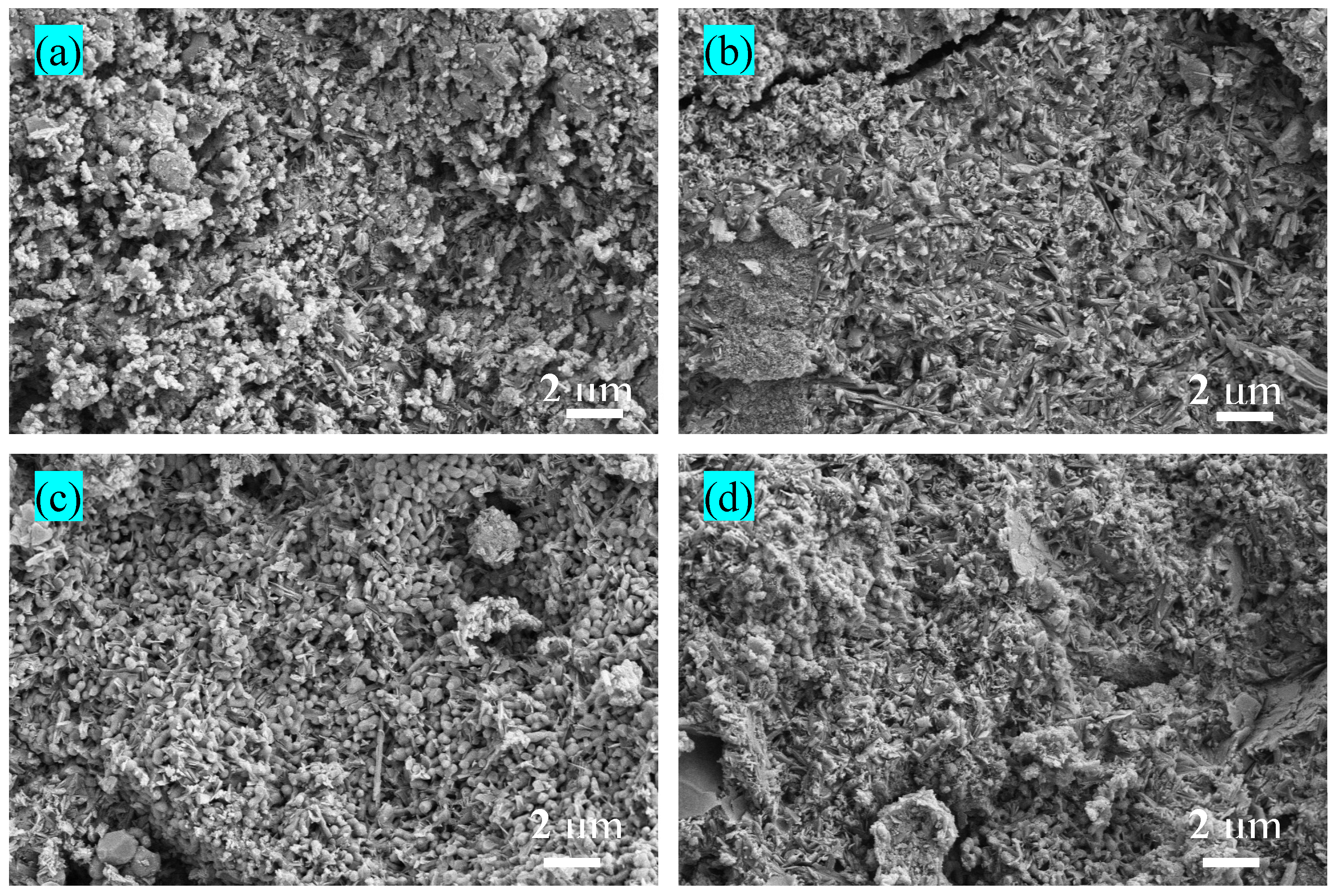 Materials 17 04085 g007