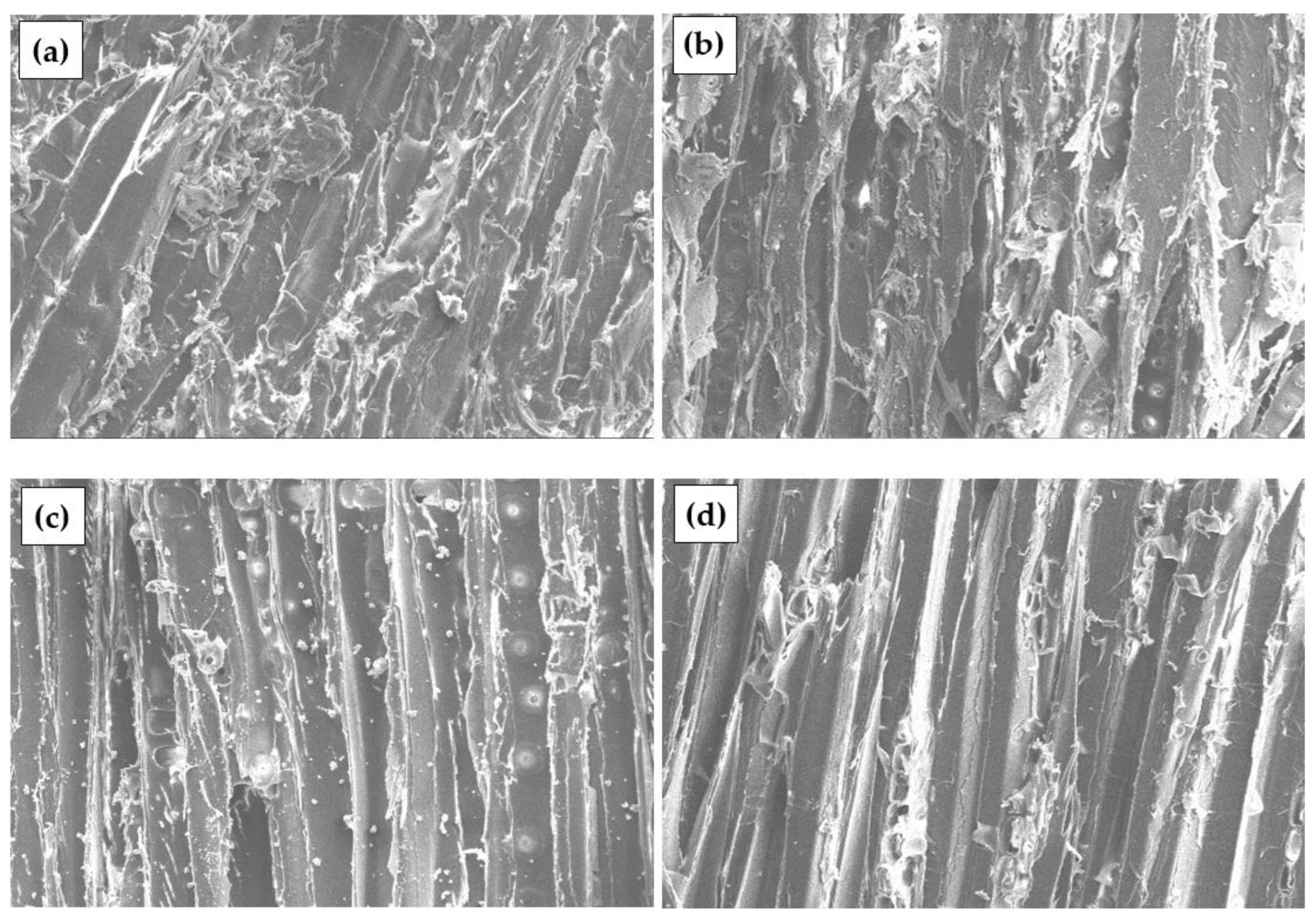 Materials 17 04087 g004