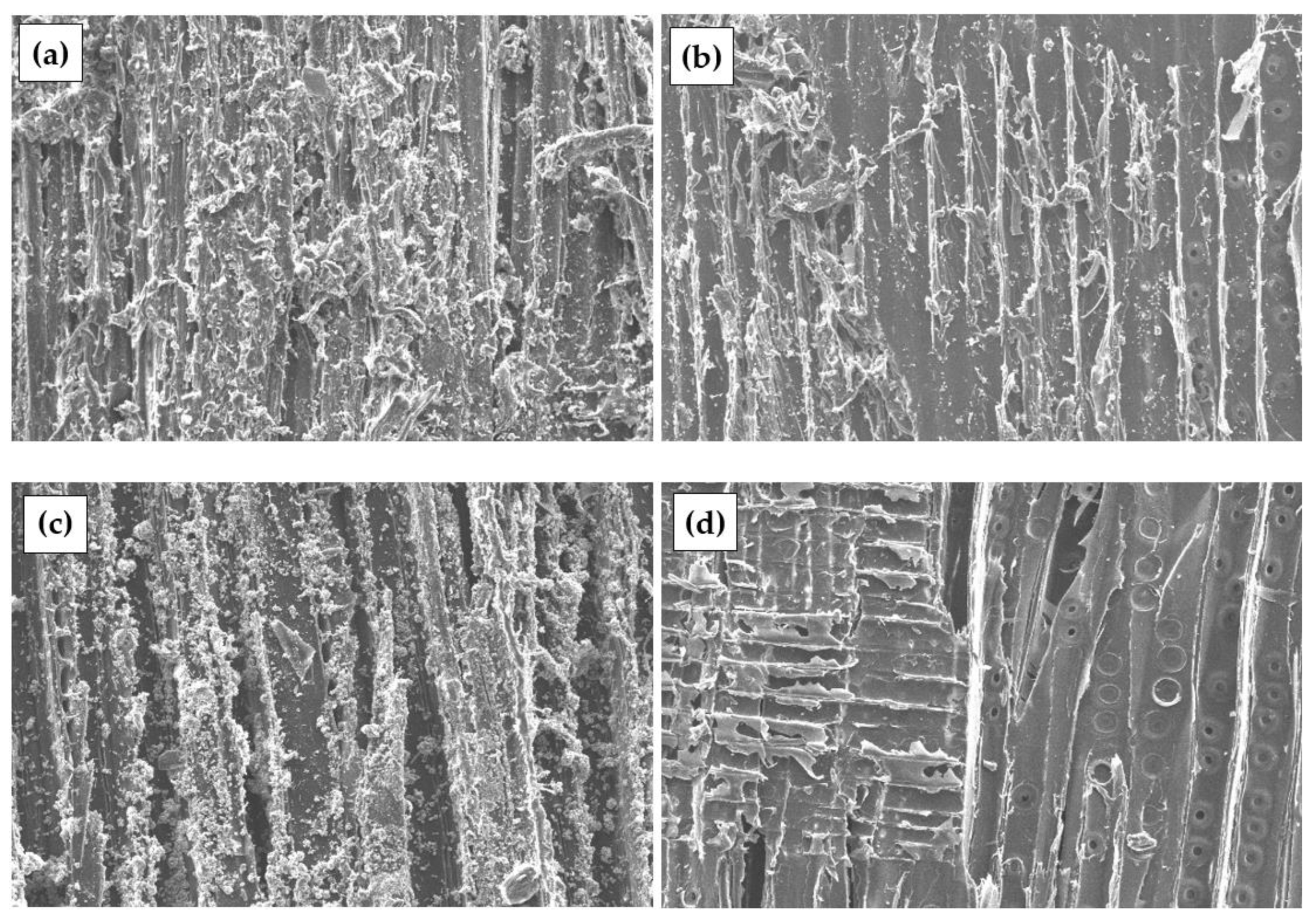 Materials 17 04087 g005