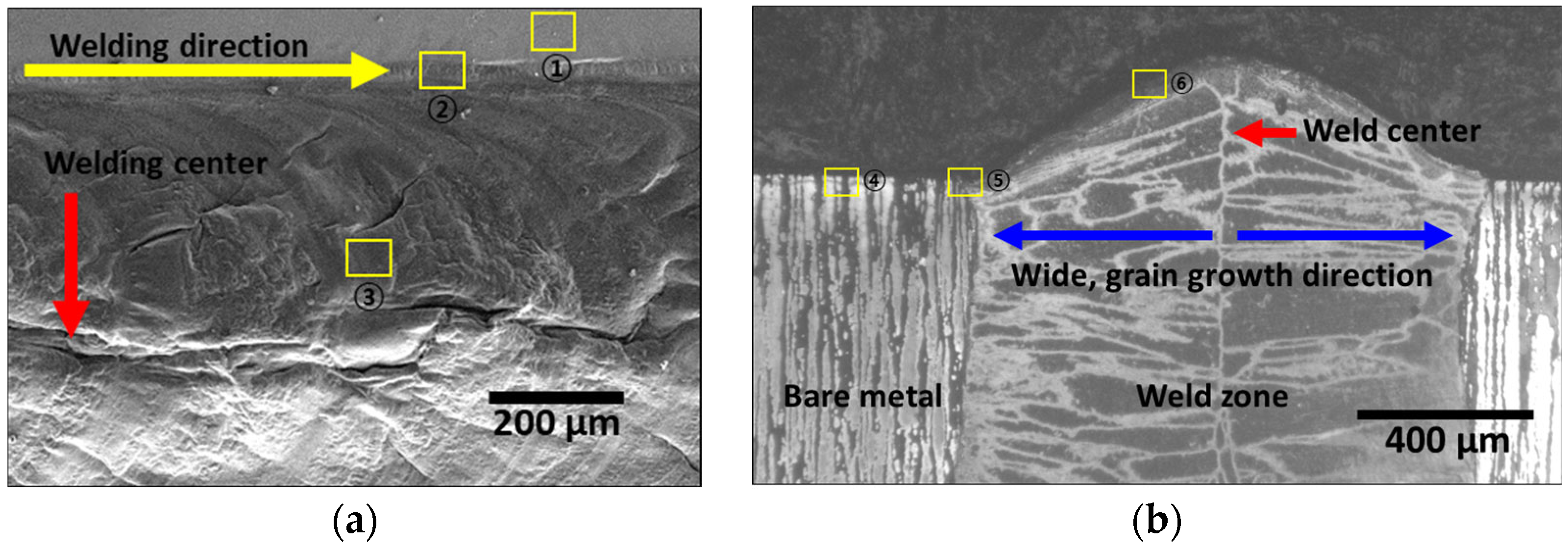 Materials 17 04107 g004