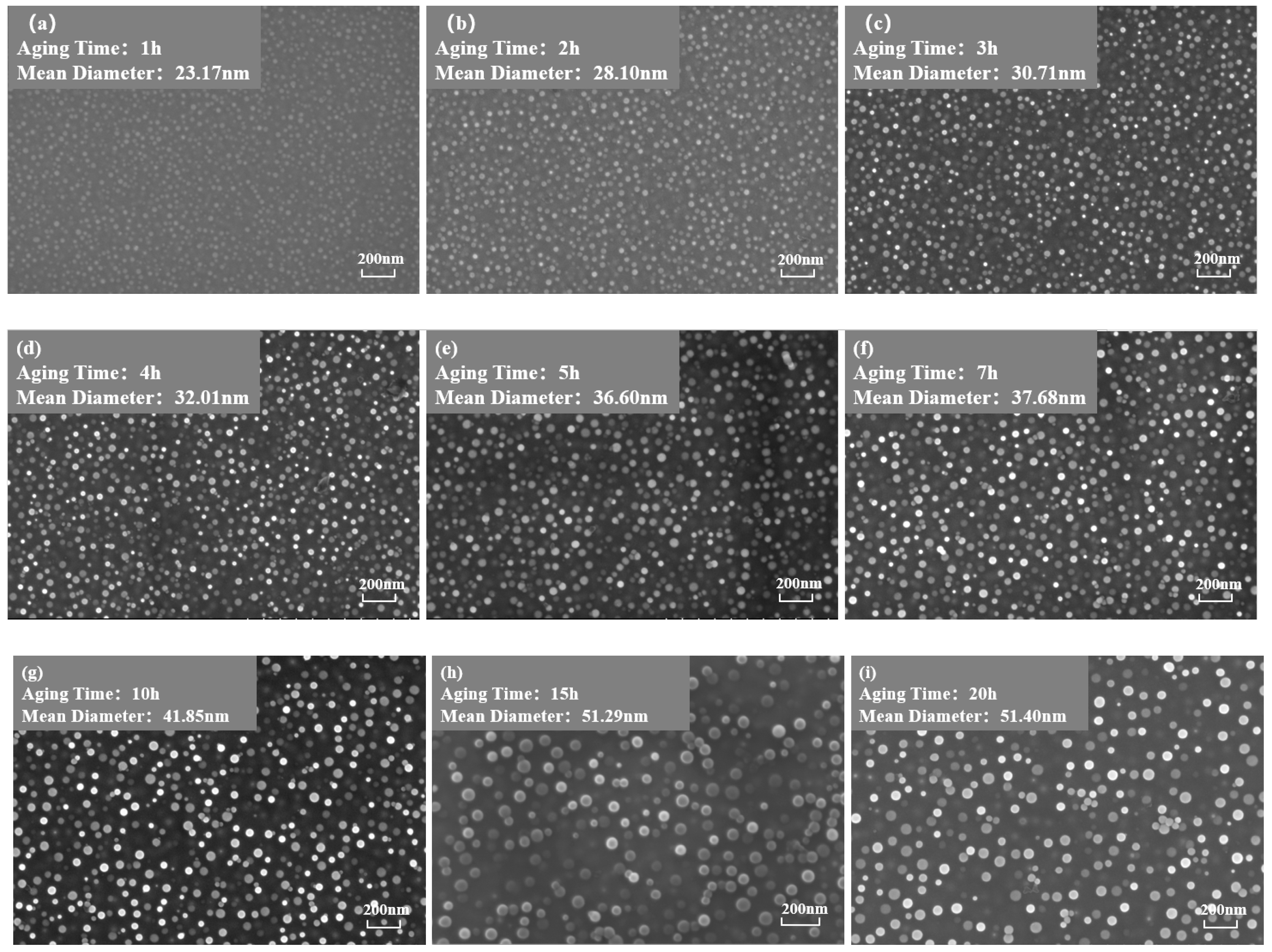 Materials 17 04143 g003