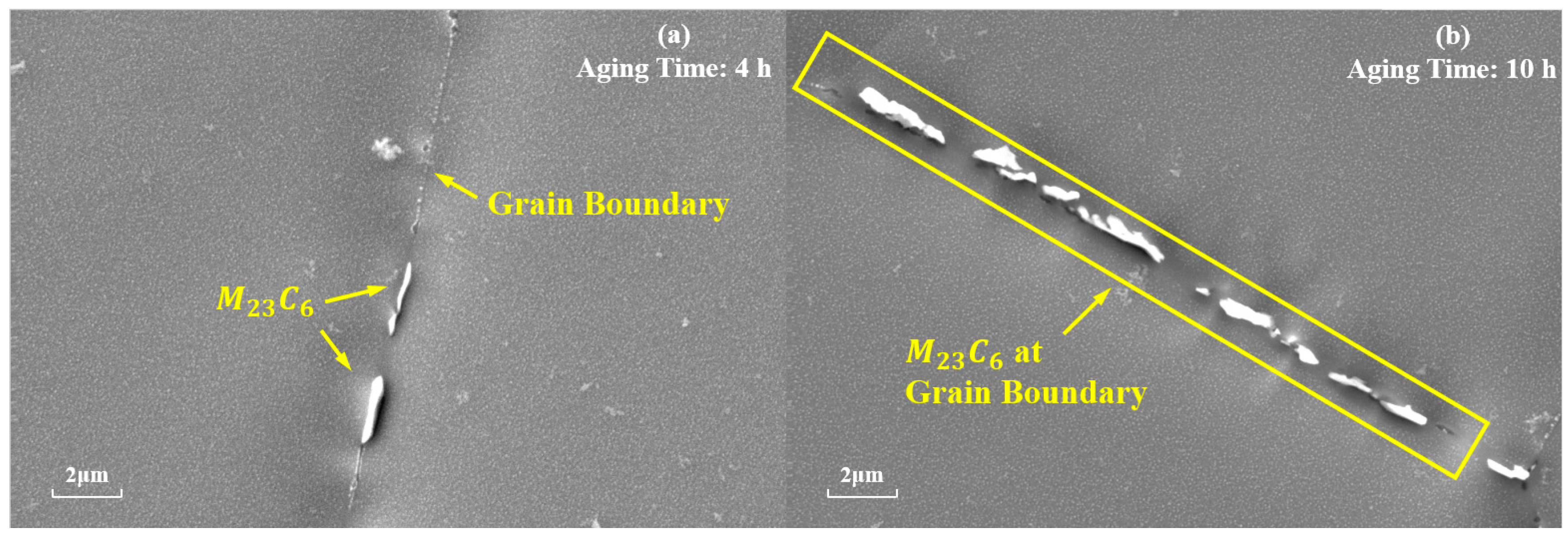 Materials 17 04143 g007