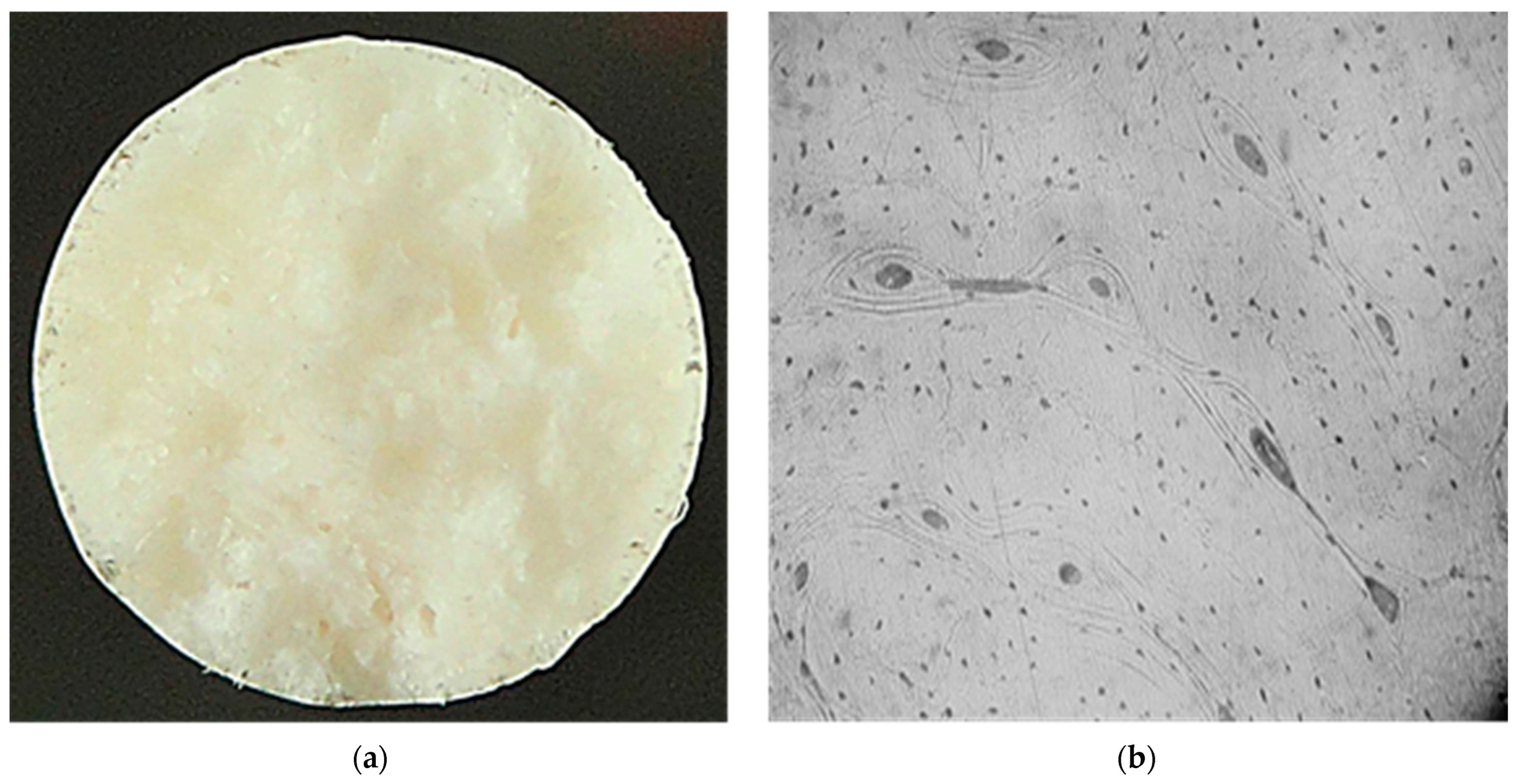 Materials 17 04173 g001