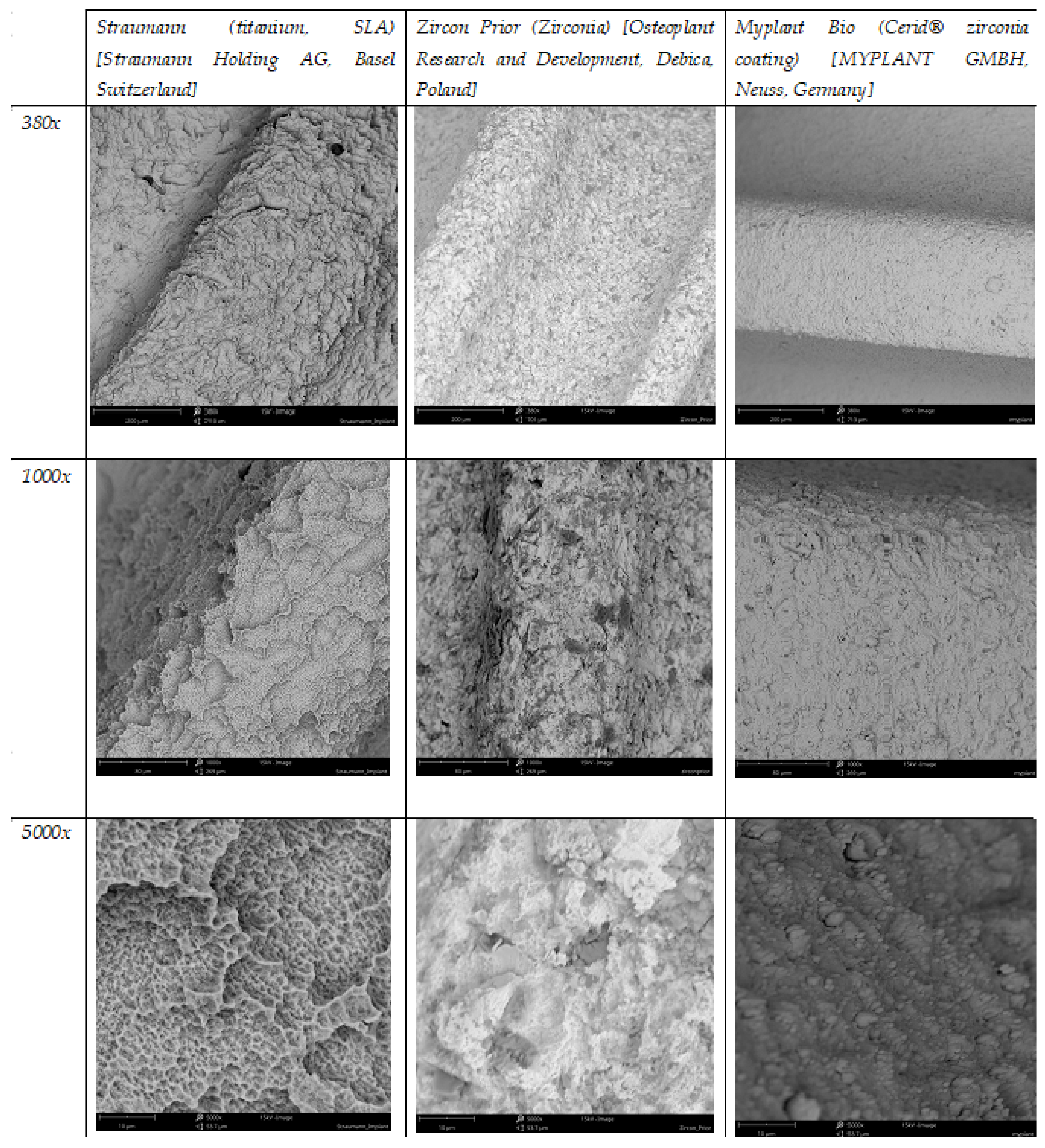 Materials 17 04202 g003