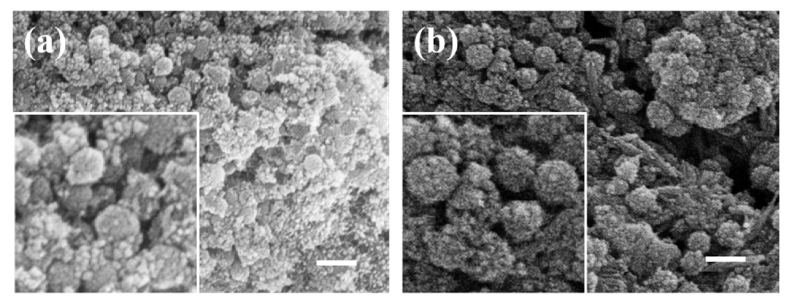 Materials 17 04325 g009