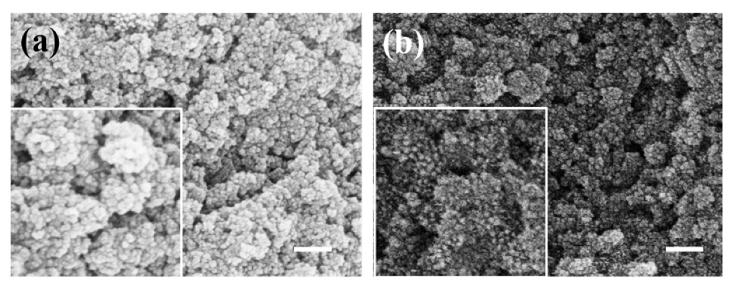 Materials 17 04325 g010