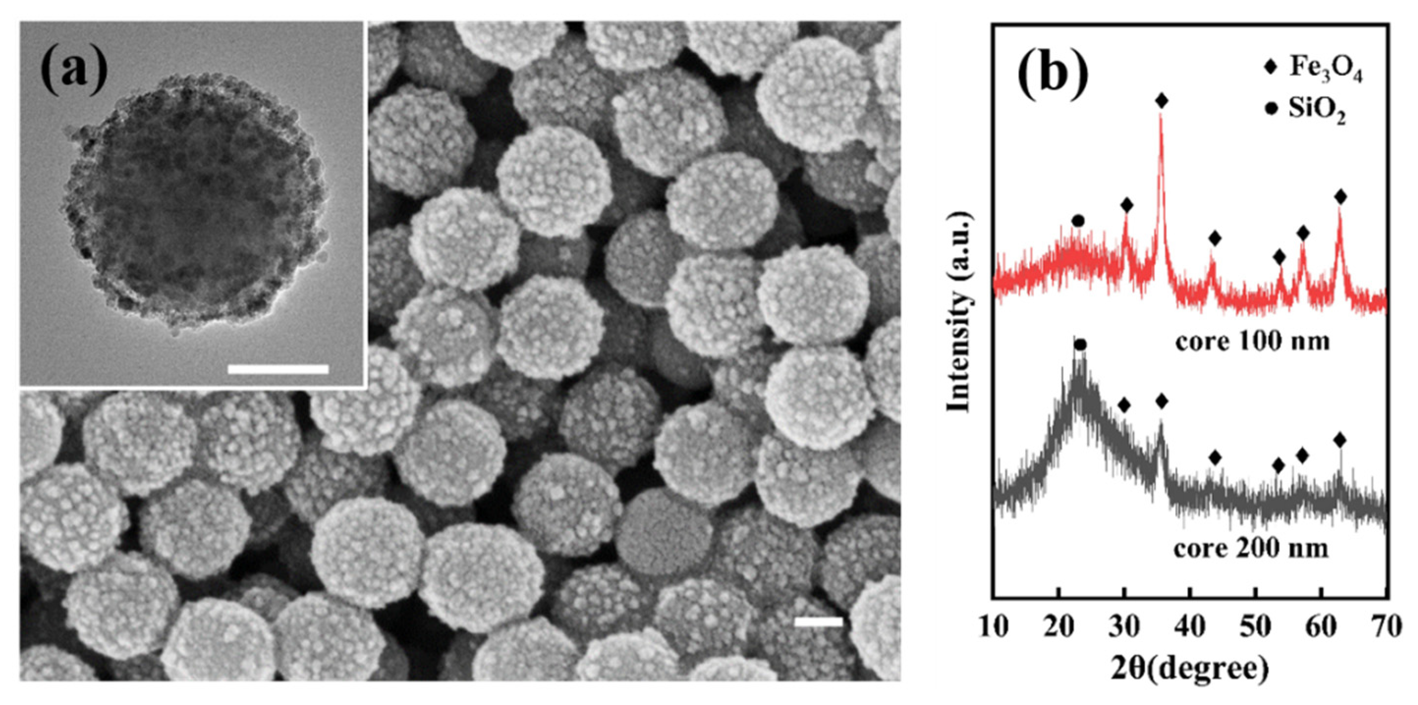 Materials 17 04325 g015