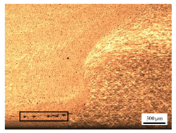 Materials 17 04447 i019 Materials 17 04447 i019