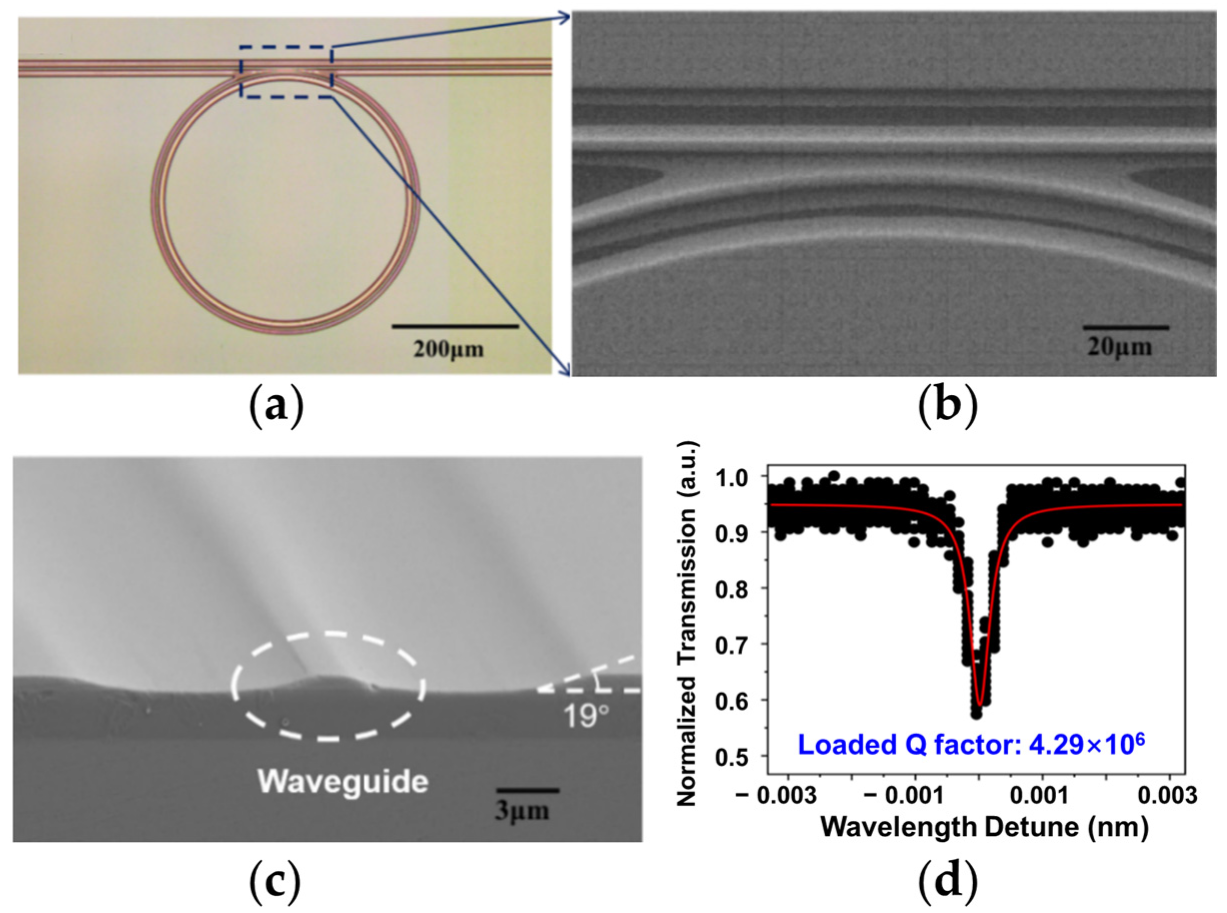 Materials 17 04453 g001