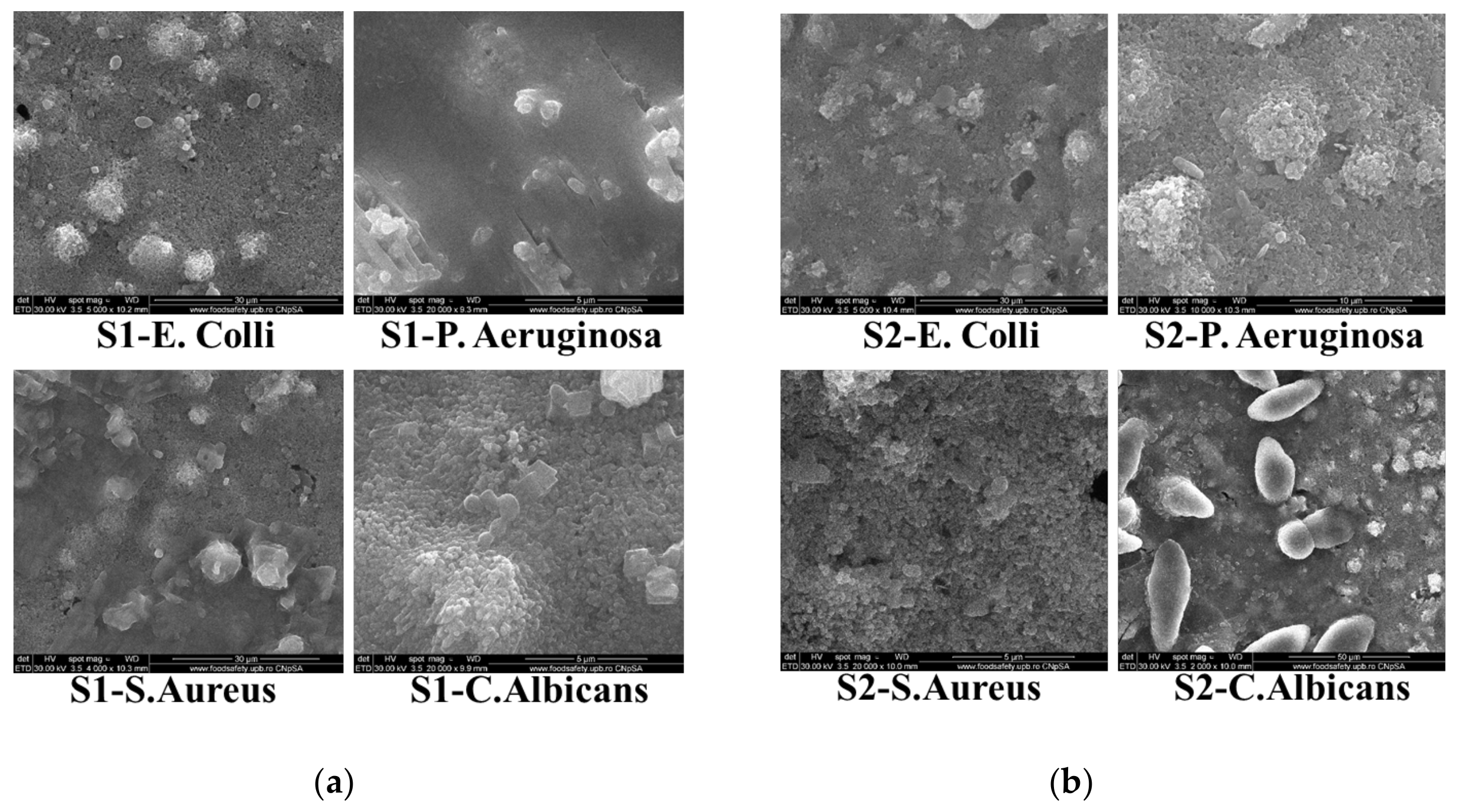 Materials 17 04483 g014 Materials 17 04483 g014