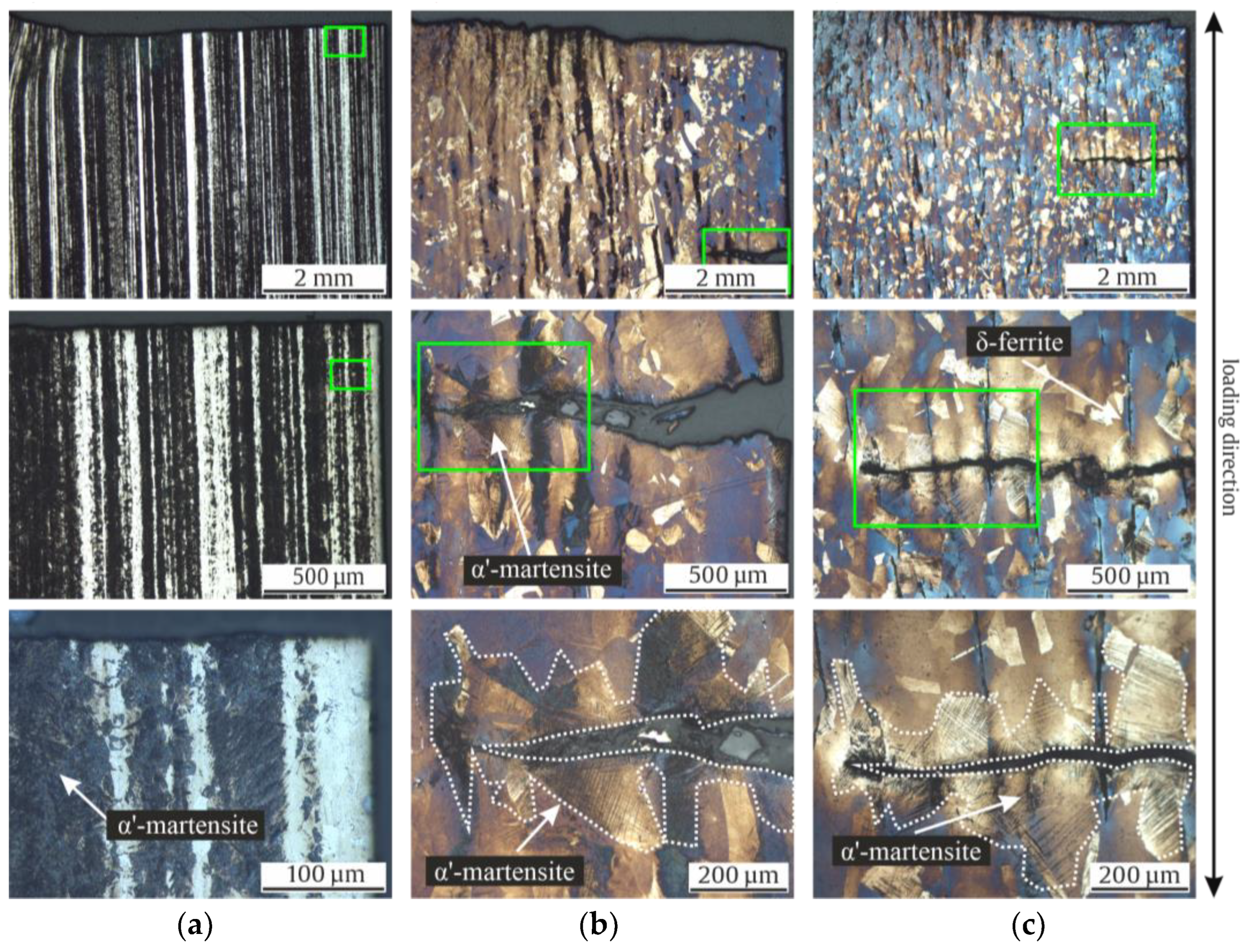 Materials 17 04543 g012