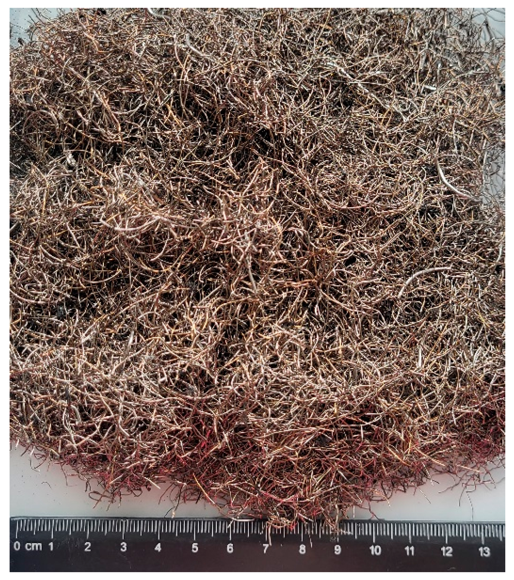 Materials 17 04554 g002