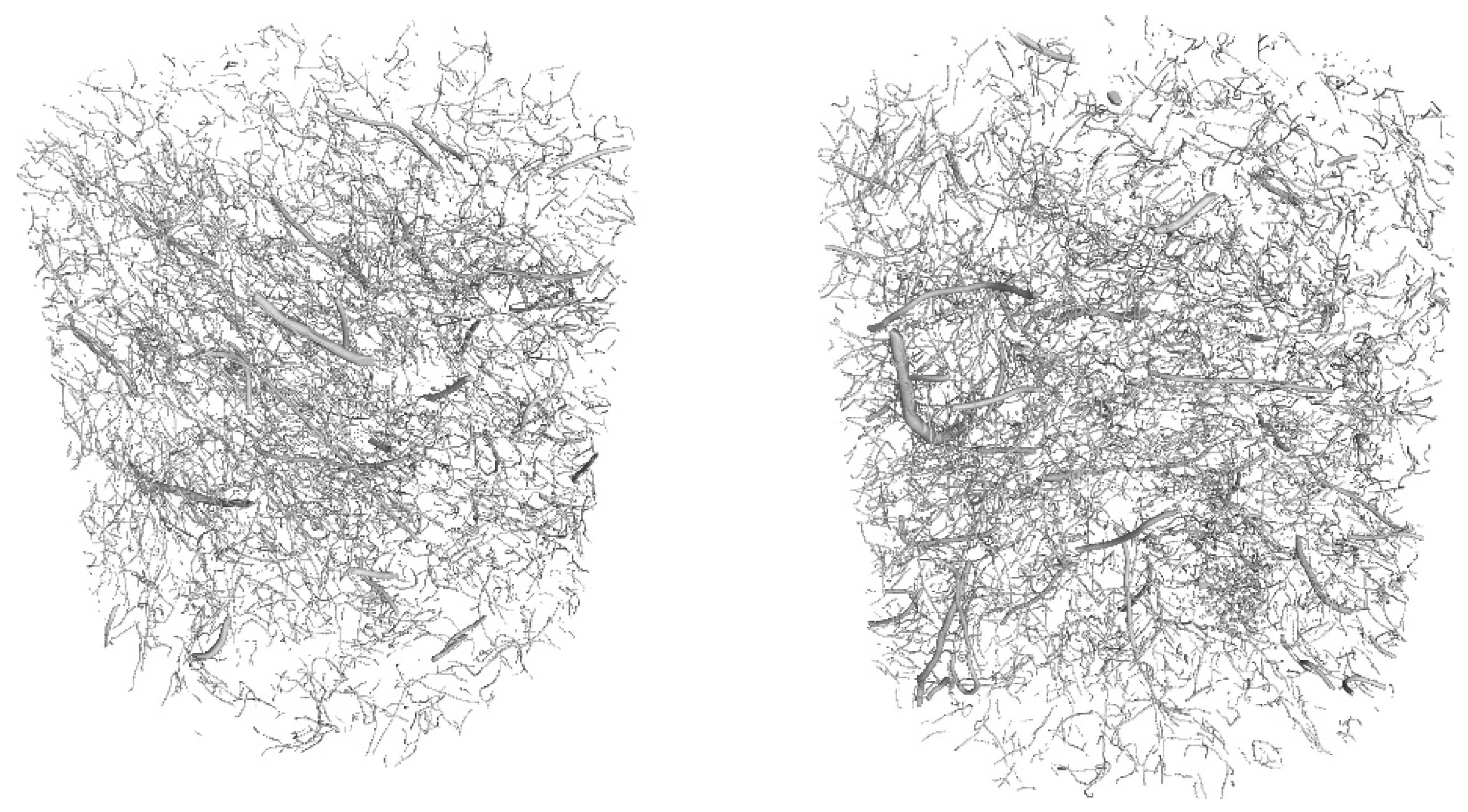 Materials 17 04554 g015