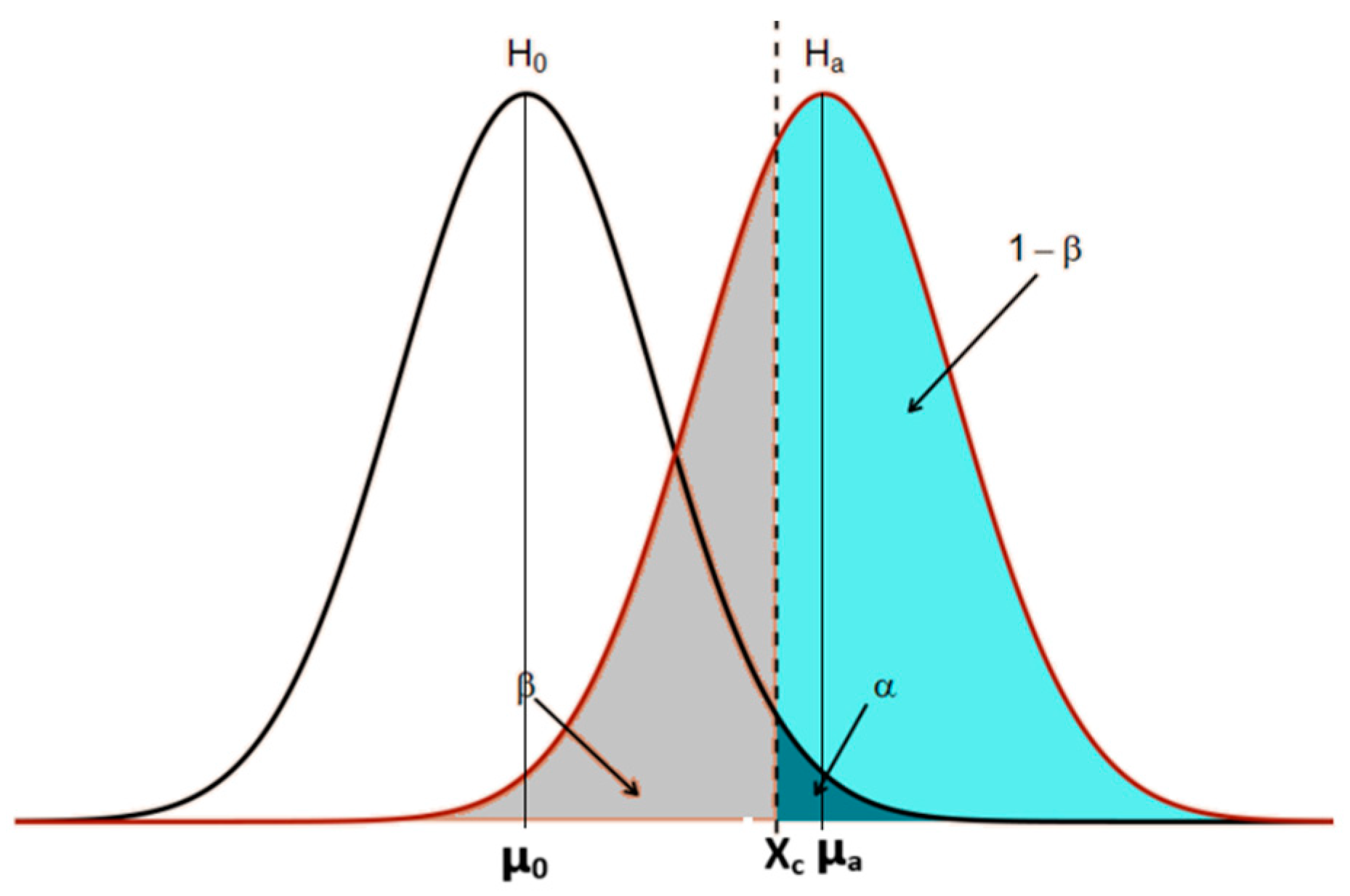 Materials 17 04561 g002 Materials 17 04561 g002
