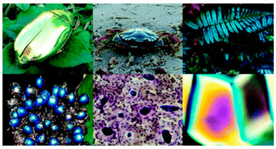 Materials 17 04563 g003